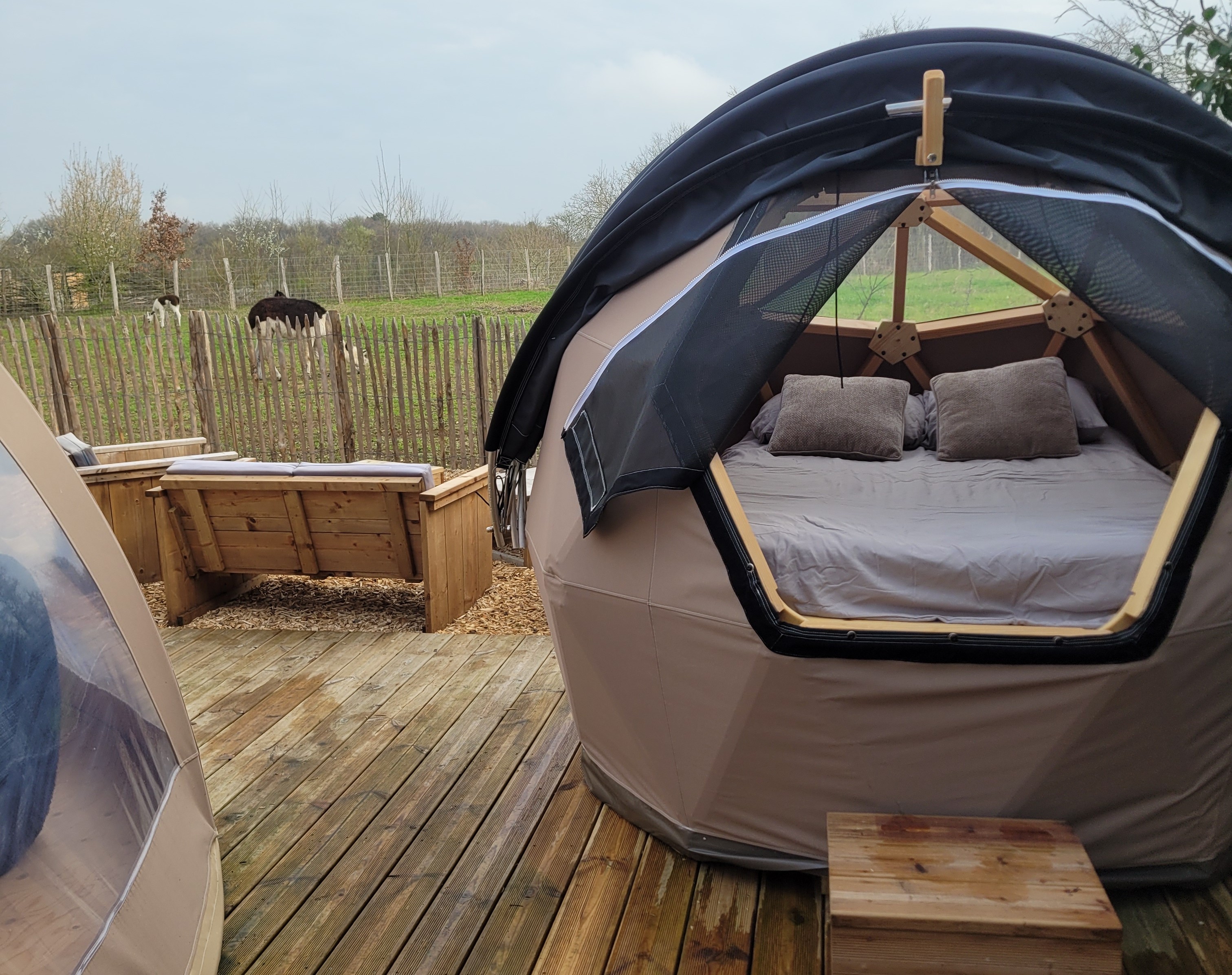Bulle de nature famille & Spa — Nuit étoilée à Maine-et-Loire à Angers — chambre