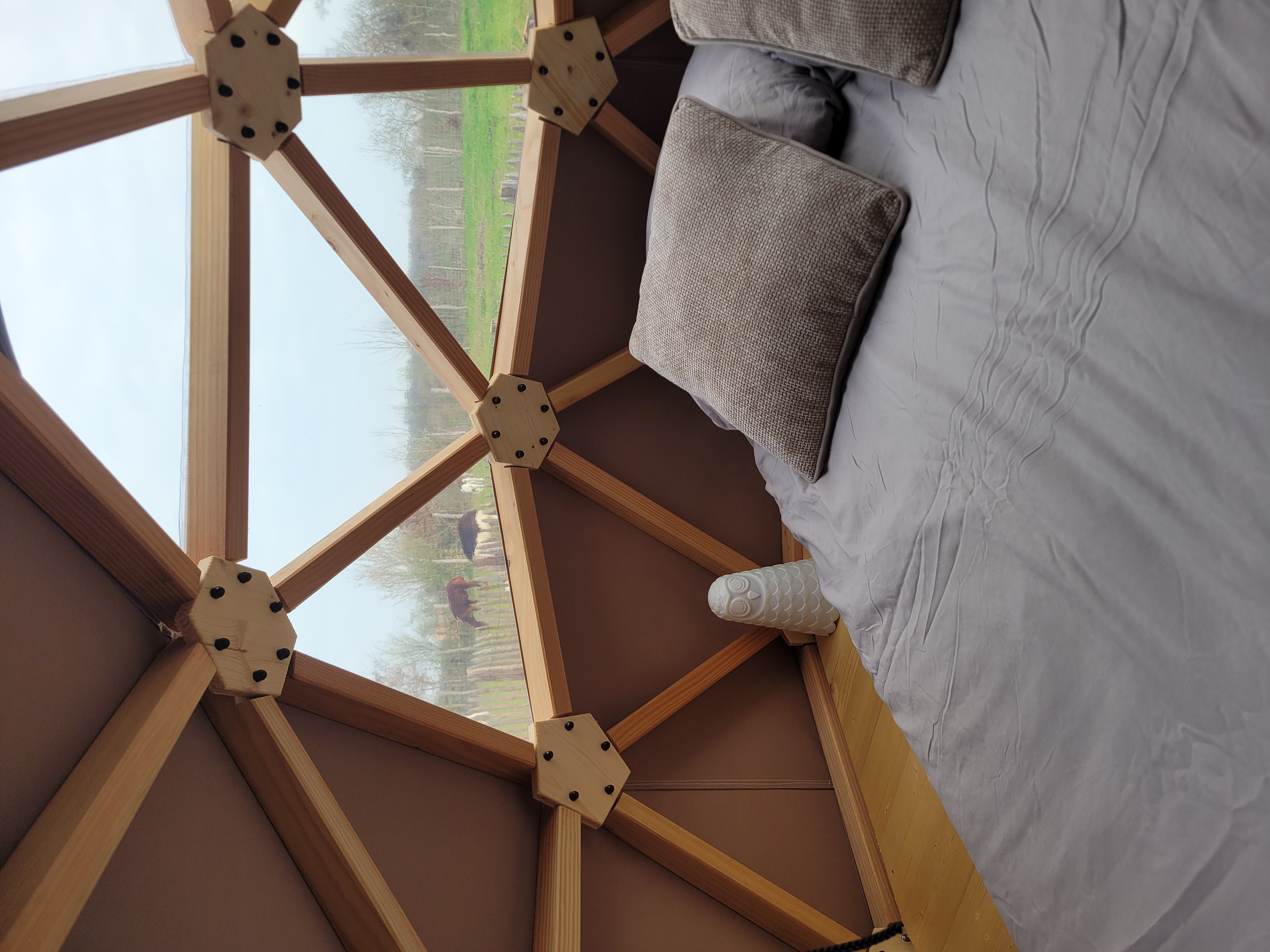 Bulle de nature famille & Spa — Nuit étoilée à Maine-et-Loire à Angers — salle de bain