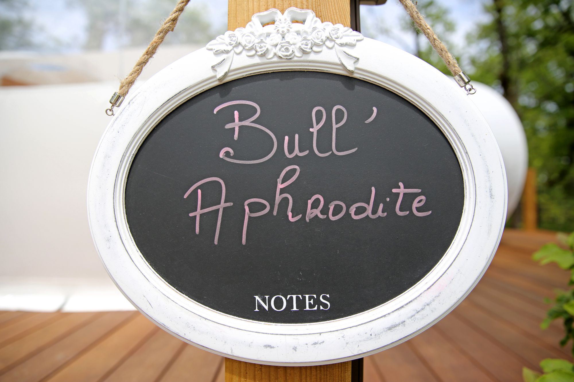 Bull'Aphrodite & Spa : une bulle d'évasion en pleine nature à Cahuzac Sur Vère — cuisine