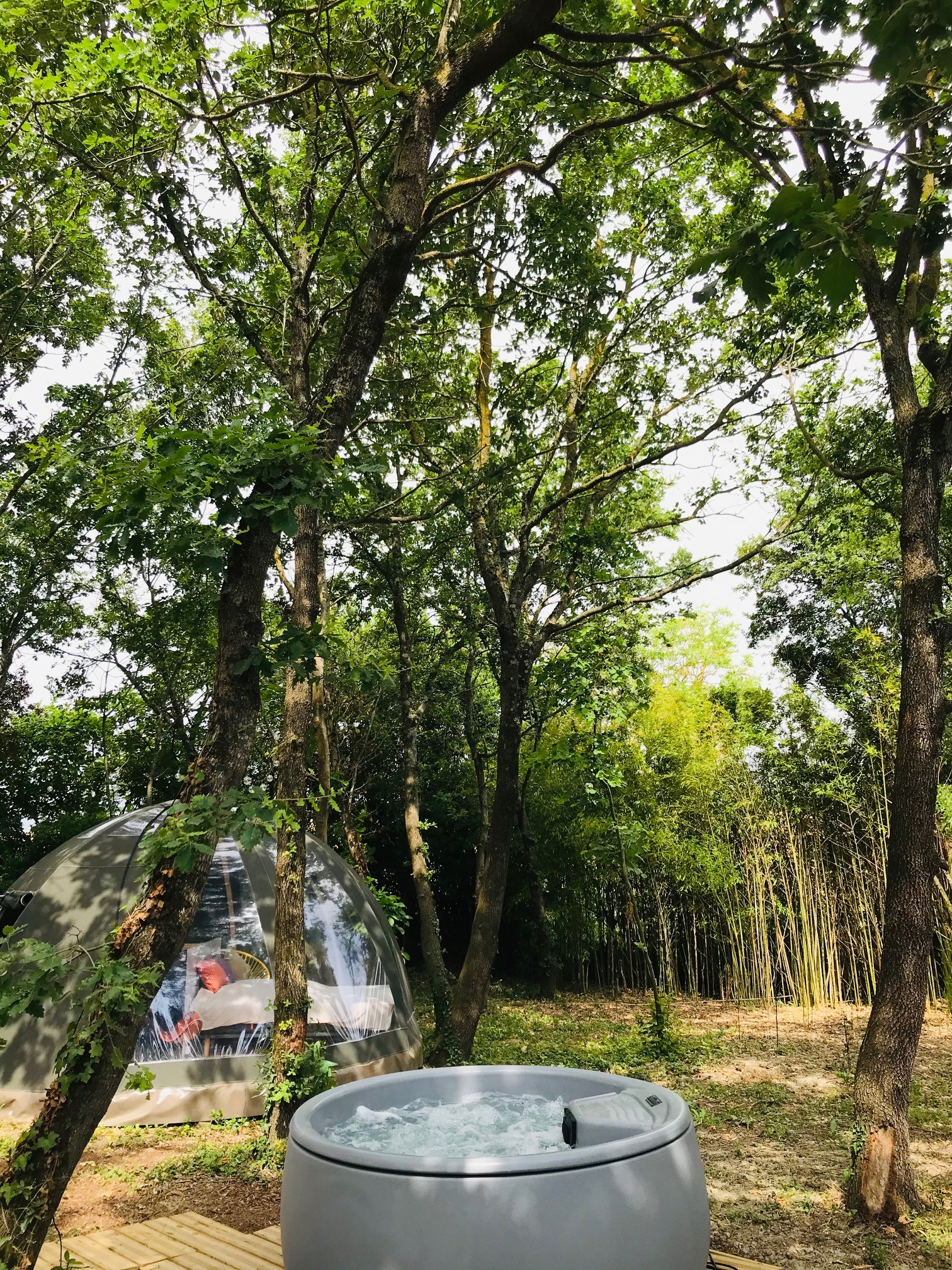 Ô Cocon du Lauragais - Dôme et Spa