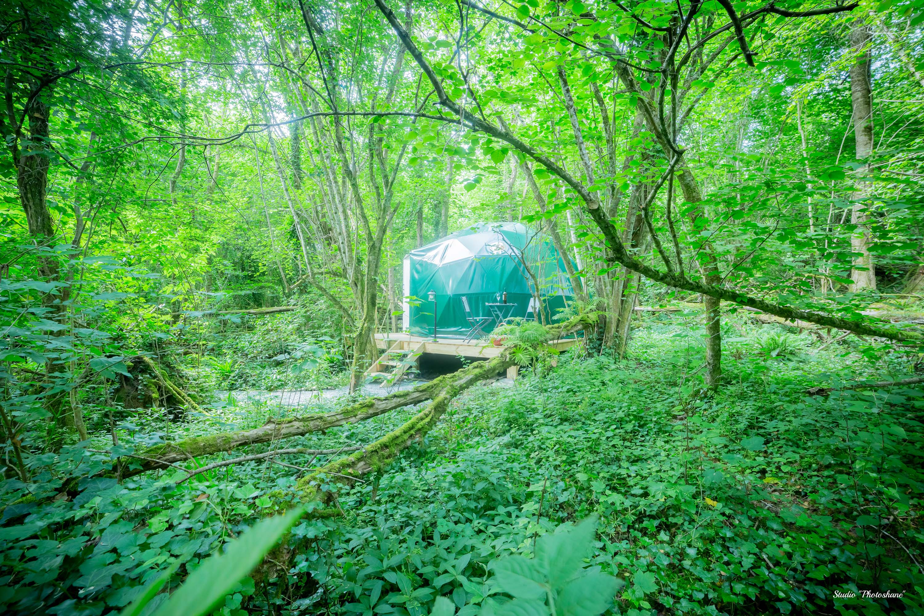Géode Chêne Emeraude — Dôme avec spa à 180° sur la forêt en Gironde à La Teste-de-Buch — chambre