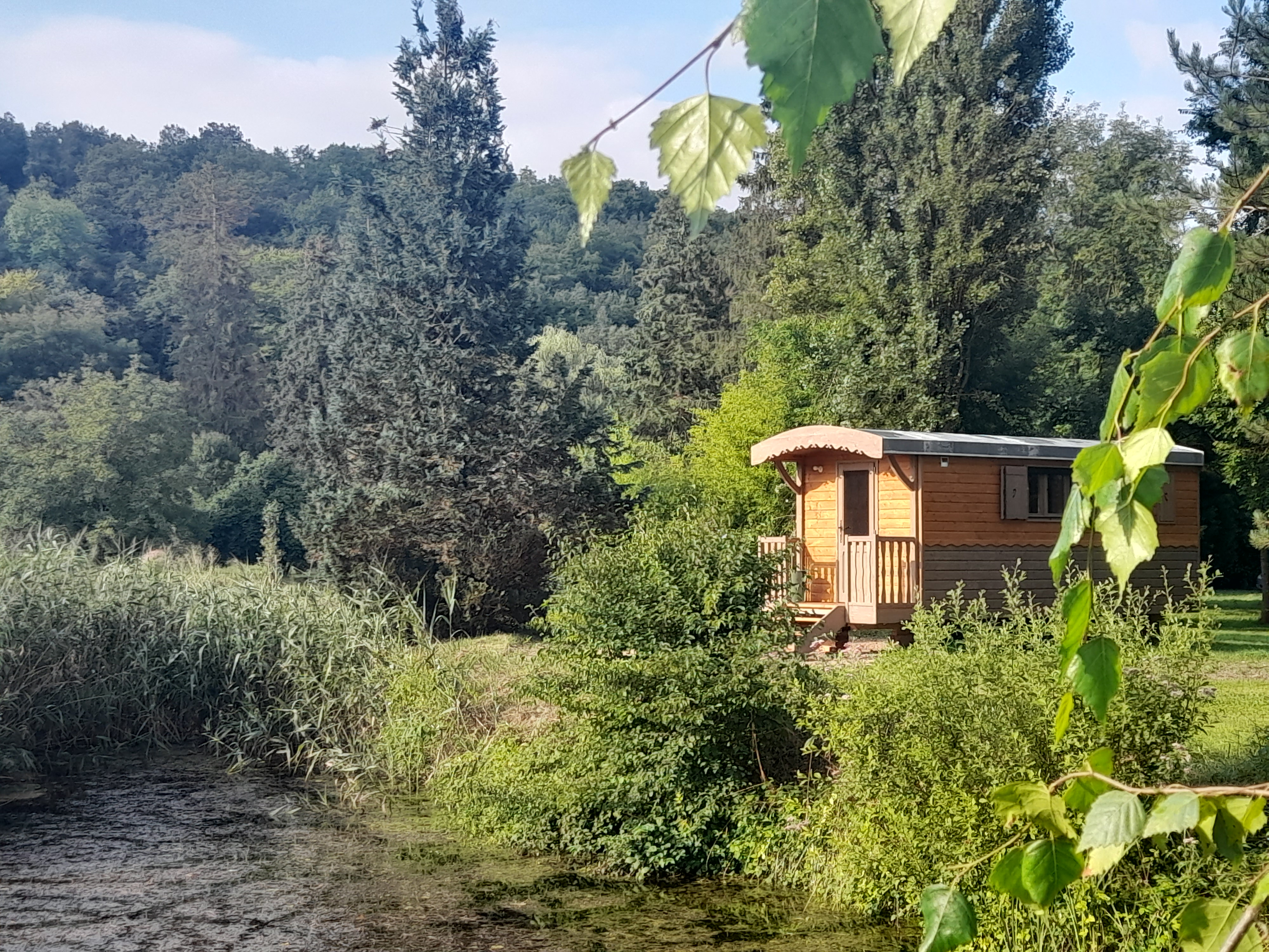 La roulotte des sources de Gulène — Roulotte avec spa à Yonne