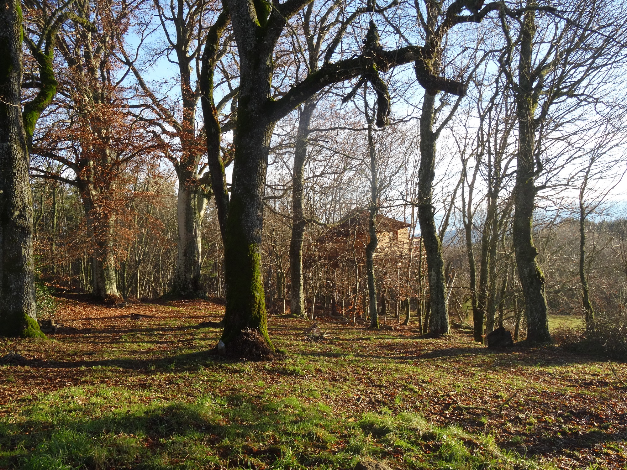 La Cabane des Fayards : une expérience suspendue dans les arbres à Saint Agrève — vue intérieure
