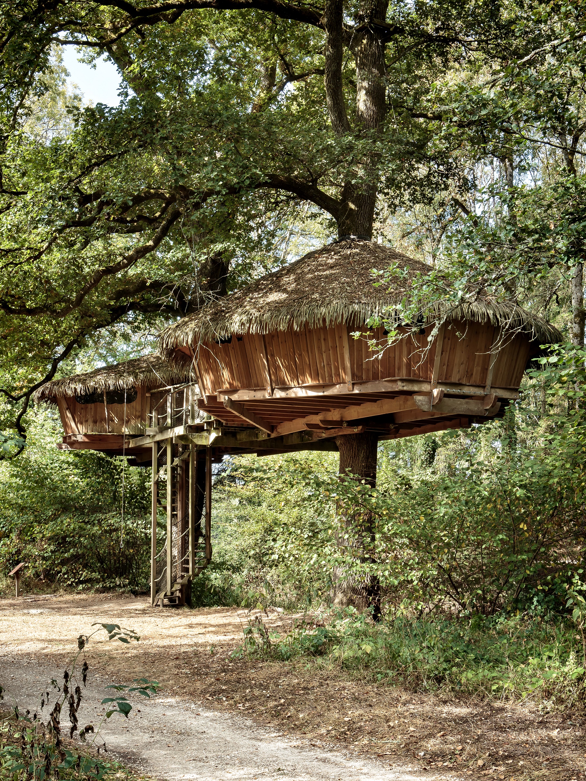 Cabane Voilure : une expérience suspendue dans les arbres — Cabane à Chassey-Lès-Montbozon