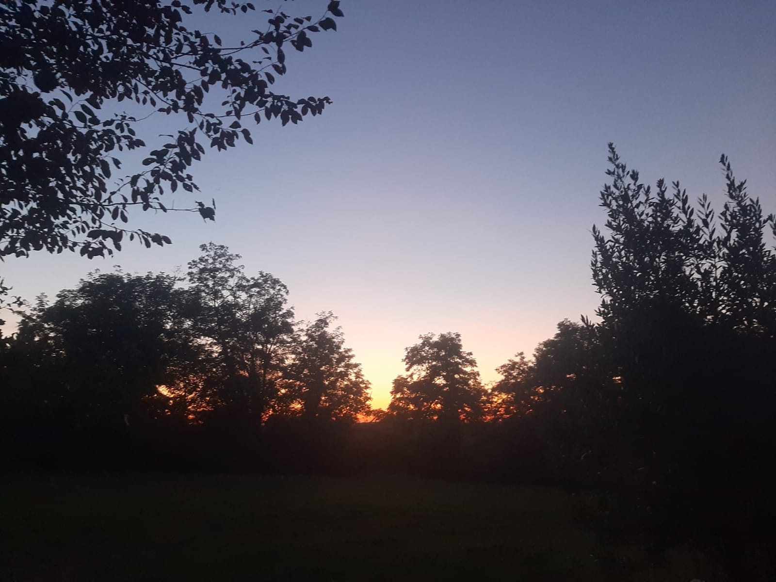 Bulle Mystique - L'Arche Enchantée