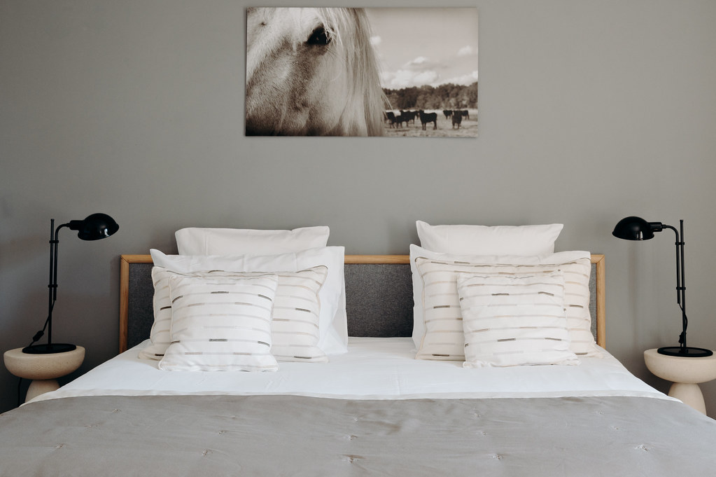 Suite Junior avec vue sur le jardin — Hébergement avec spa à Hérault à Montpellier — espace de vie