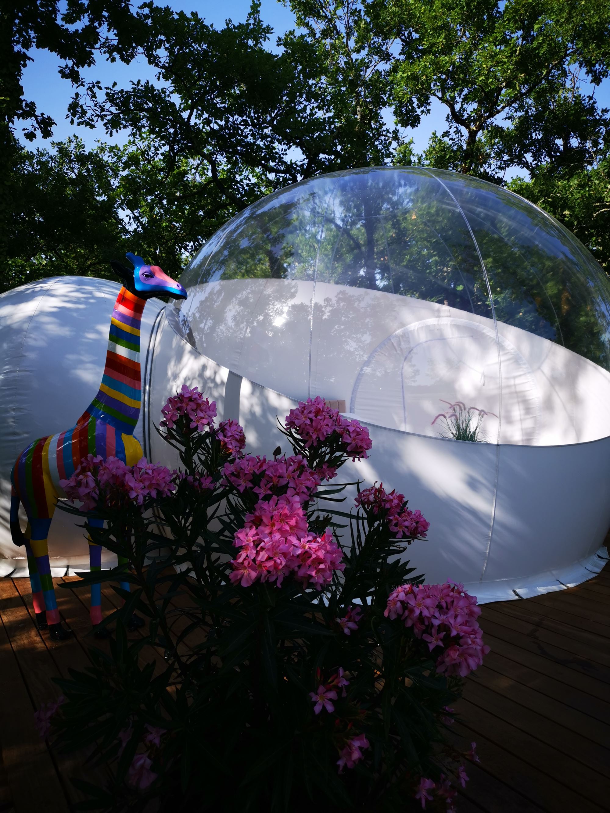 Bull'Aphrodite & Spa : une bulle d'évasion en pleine nature à Cahuzac Sur Vère — vue depuis la terrasse