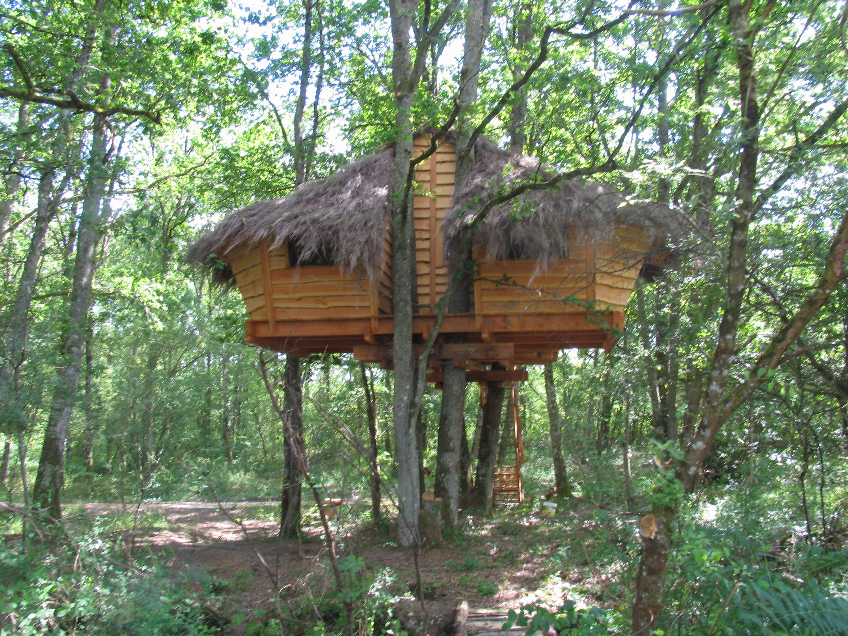 La Chamberloute : une cabane dans les arbres au cœur de la nature à Vouzon — environnement naturel