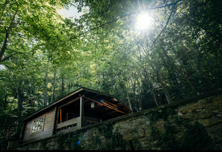 Cabane du Trappeur — Expérience glamping avec spa à Lyon à Lyon — environnement naturel