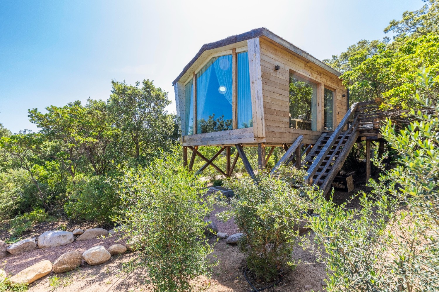 Centauri — Cabane dans les arbres avec spa à Corse-du-Sud