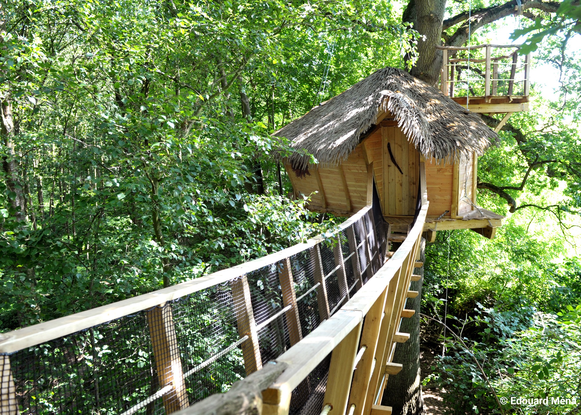 Baron perché : une cabane dans les arbres pour une expérience unique à St Germain Des Essourts — espace de vie