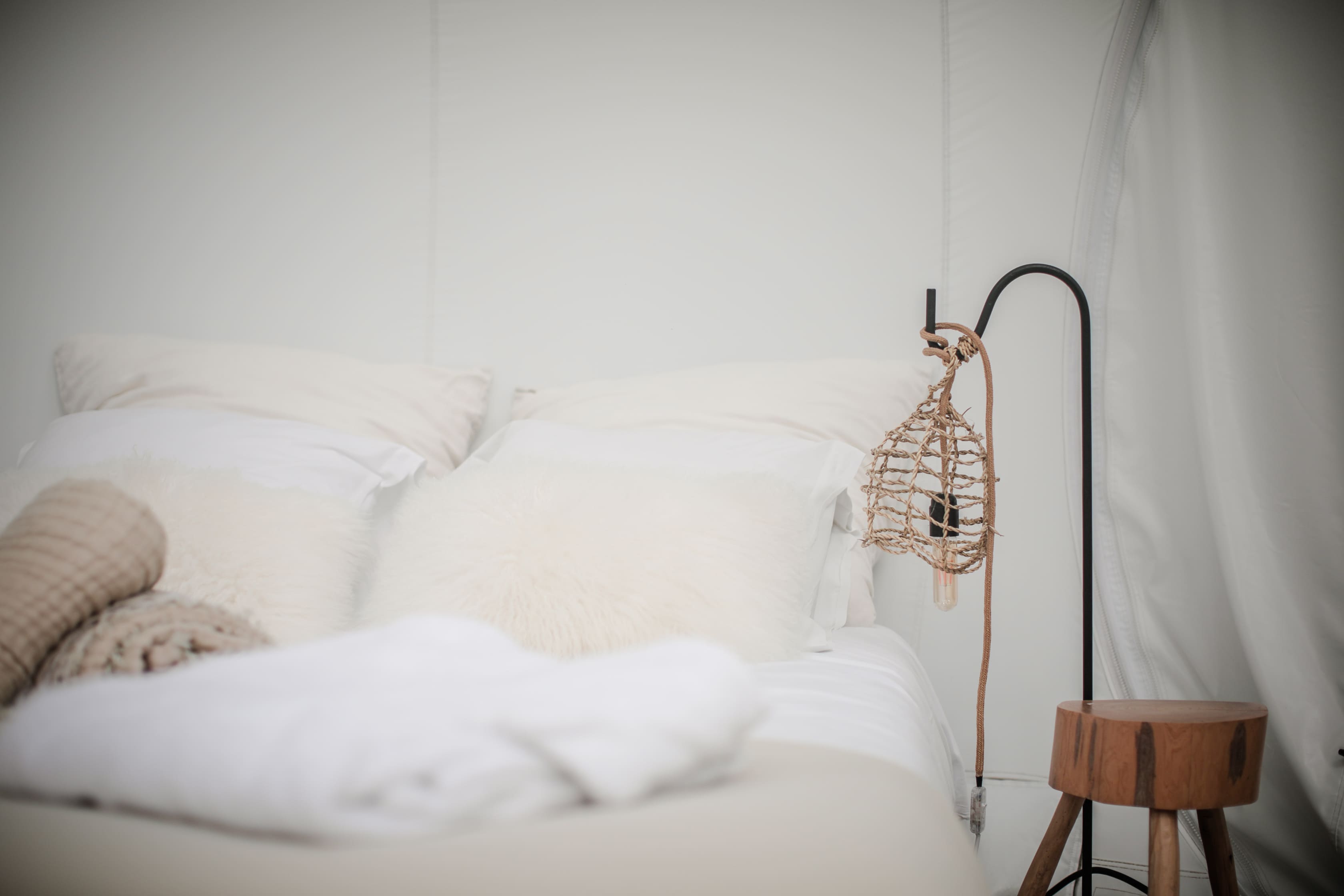 Bulle Spa Petit Verdot