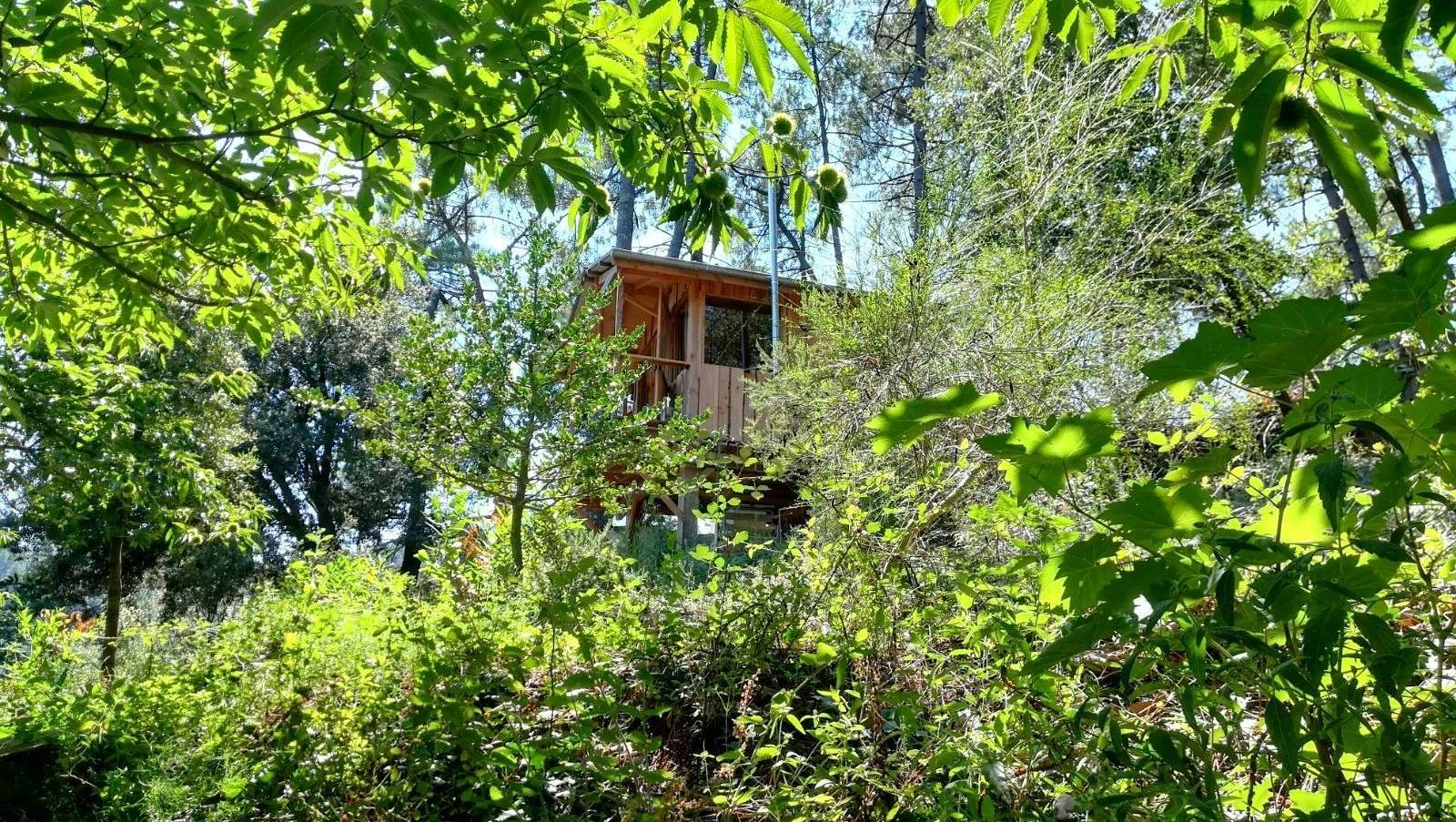 La Cabane sur pilotis : une évasion unique en Languedoc-Roussillon à Chambon — salle de bain