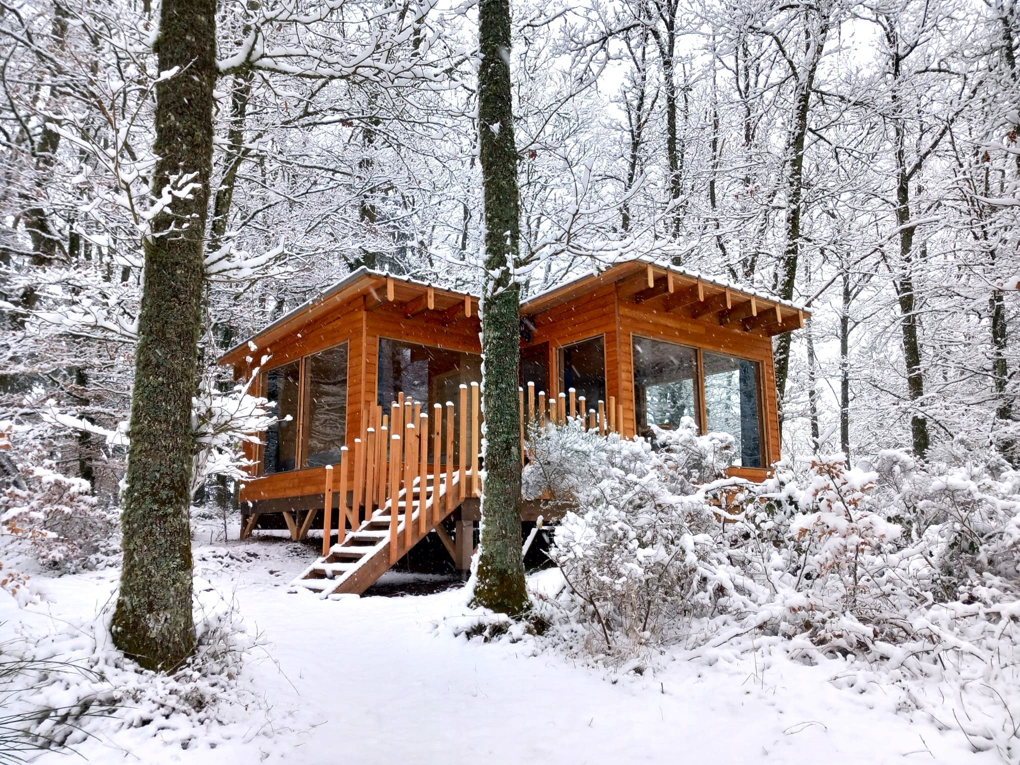 Cabane de la Forêt au bord d'un lac : une échappée enchantée à Condat-En-Combraille — vue depuis la terrasse