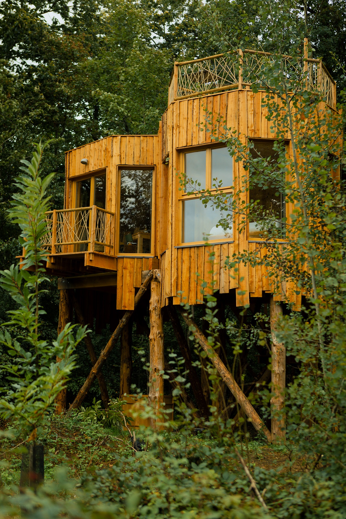 Cabane Spa Plus Eclipse : une évasion dans les arbres à Raray — vue intérieure