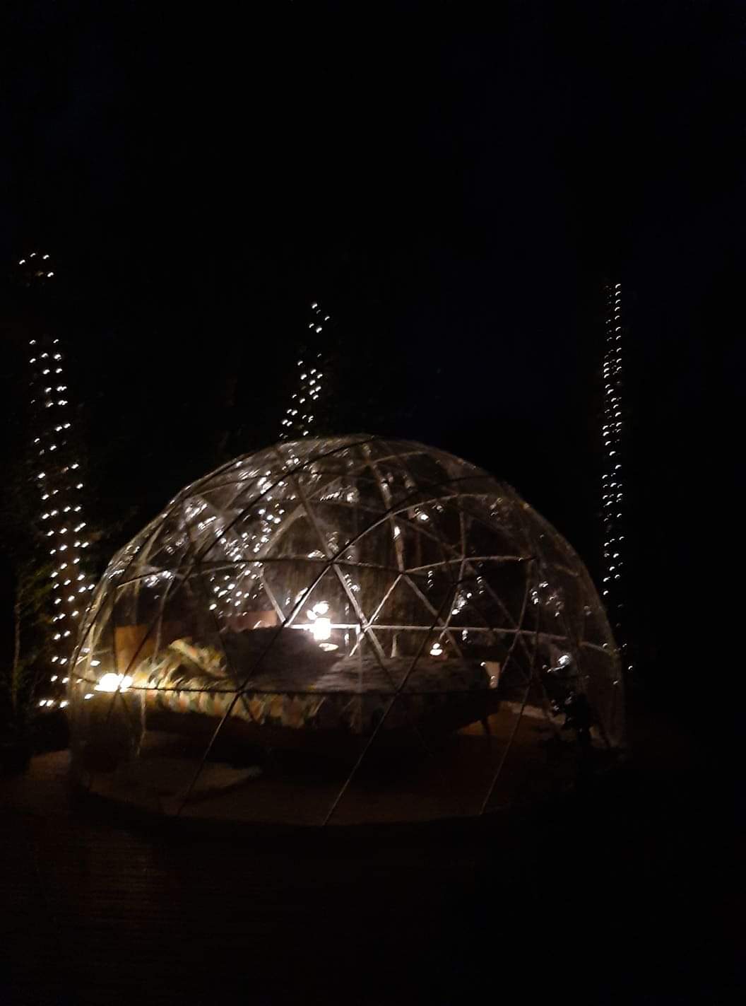 Bulle Mystique - L'Arche Enchantée