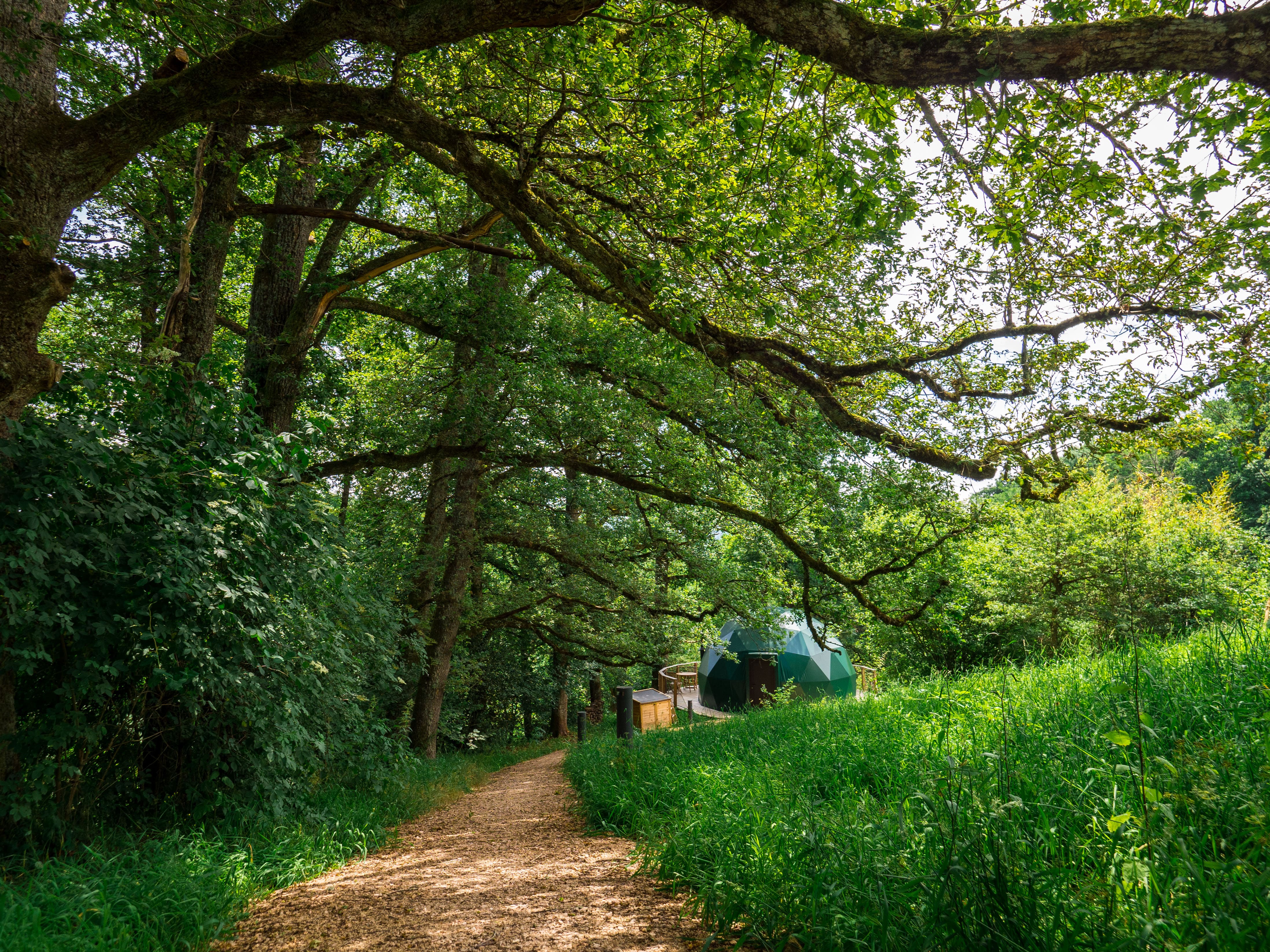 Dôme Cassiopée & Spa : une expérience unique en Auvergne à Cunlhat — environnement naturel