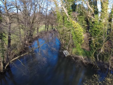 Bulle Perchée Étoile Filante & Spa