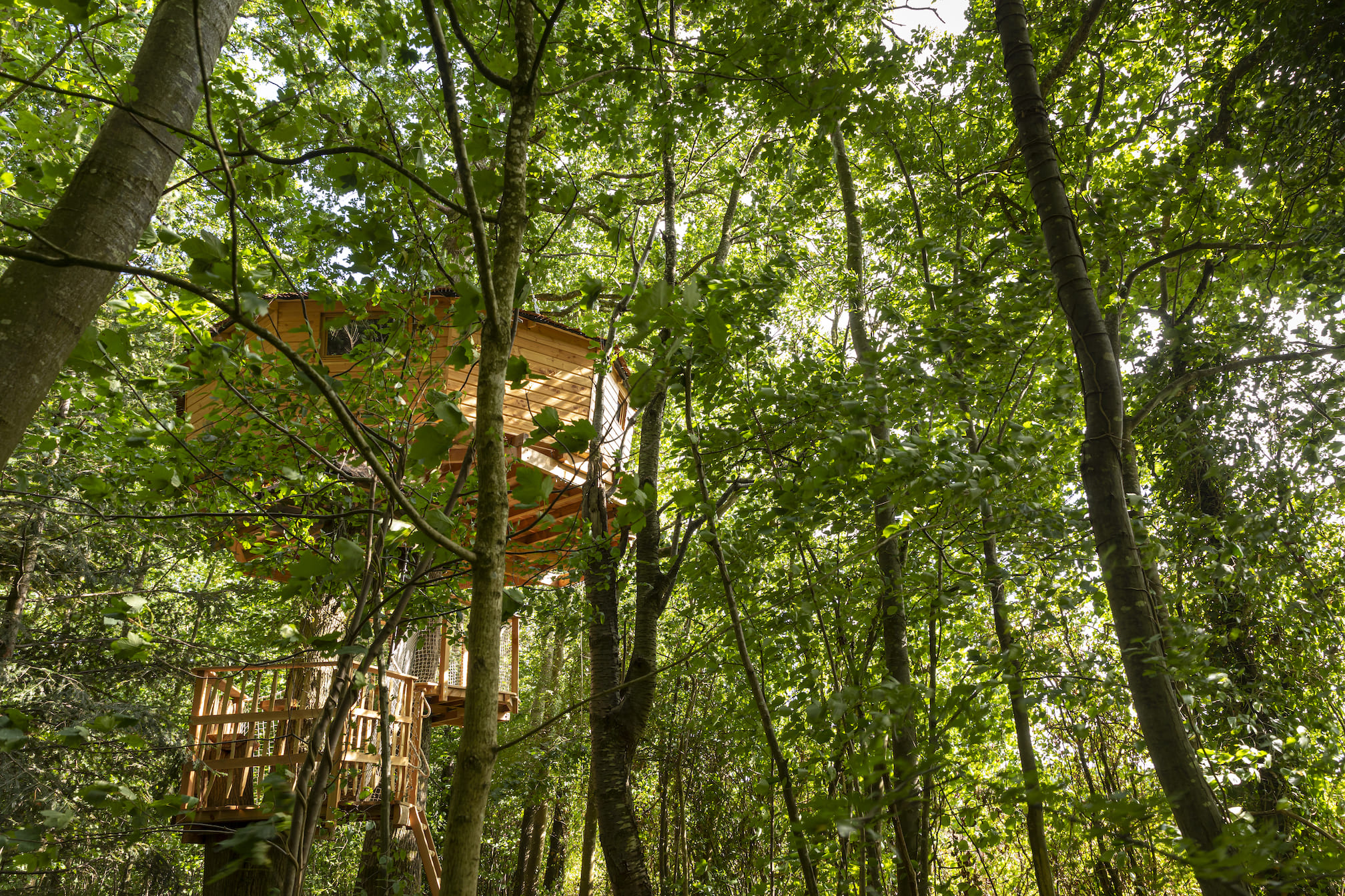 Ouistiti : une cabane perchée au cœur de la nature normande