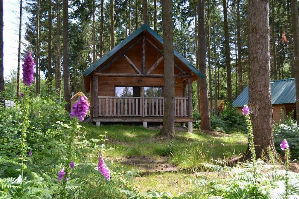 Cabane Dieulefit : une immersion en pleine nature — Cabane à Dieulefit