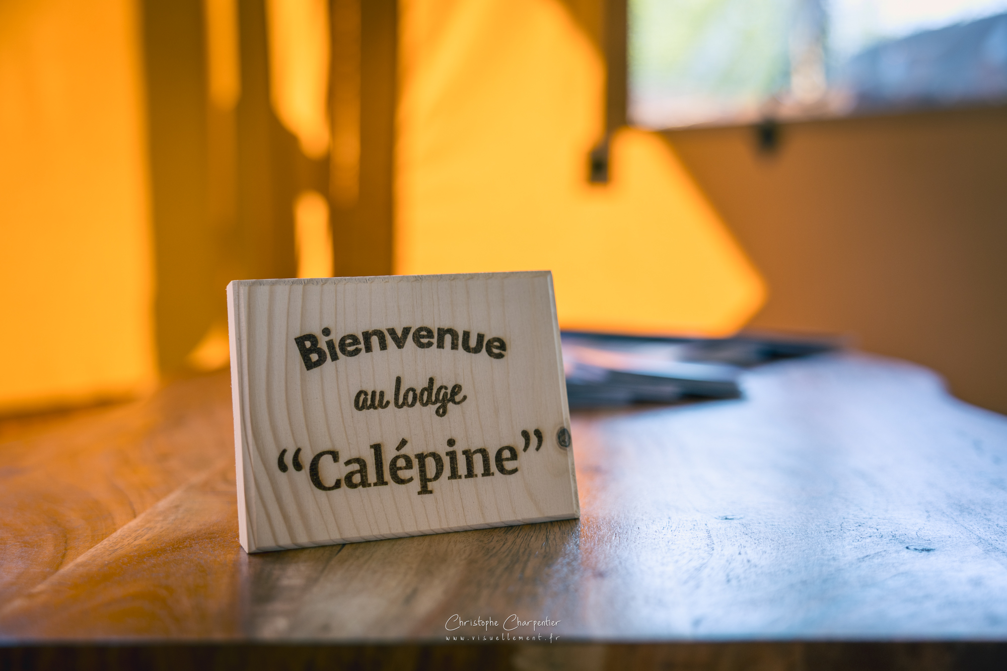 Calépine — Lodge safari avec bain nordique à Vienne à Bignoux — vue depuis la terrasse