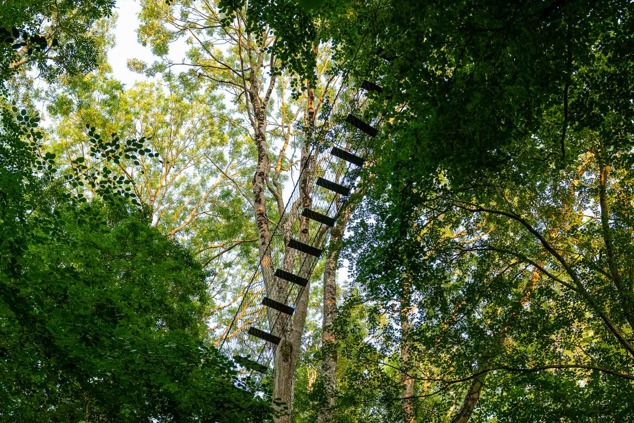 Cabane Epervier — Nuit perchée à 20m dans les arbres en Calvados à Valambray — espace de vie