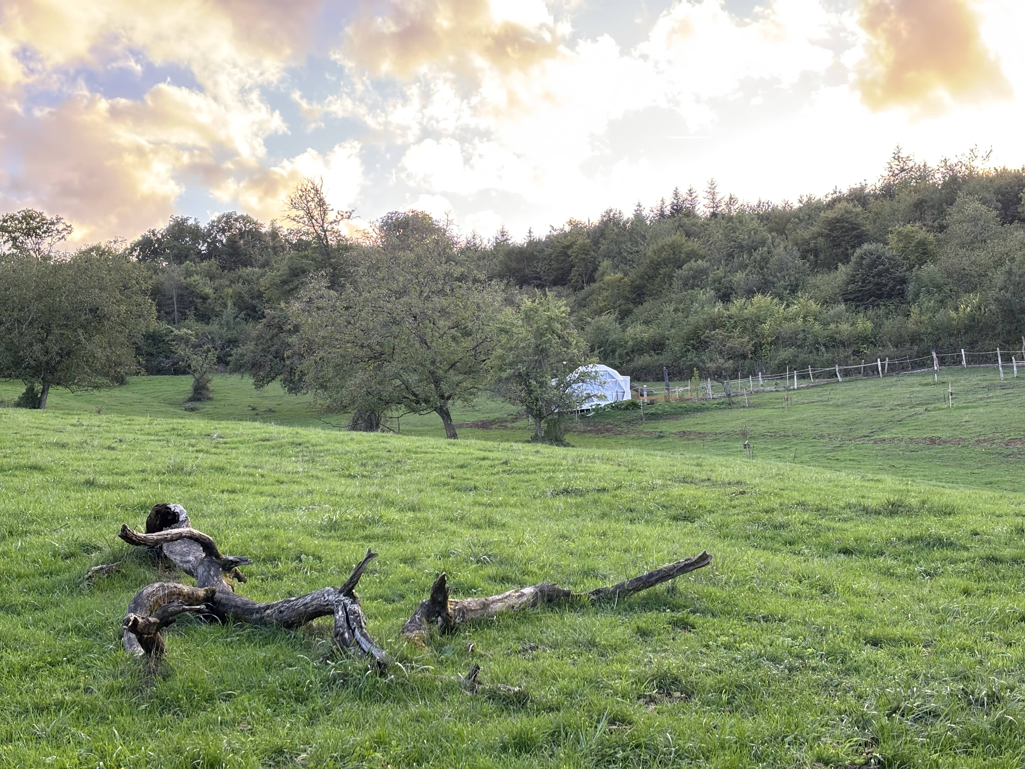 Dôme Ambre — Évasion romantique avec spa à Moselle à Ars-sur-Moselle — cuisine