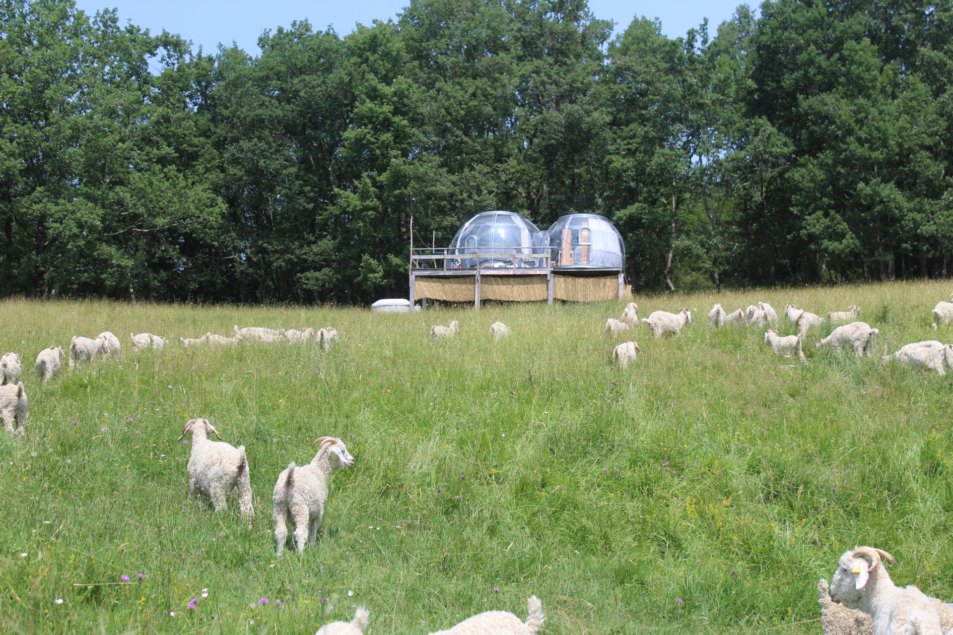 Bulle face aux Pyrénées ! — Nuit insolite avec spa à Haute-Garonne à Toulouse — chambre