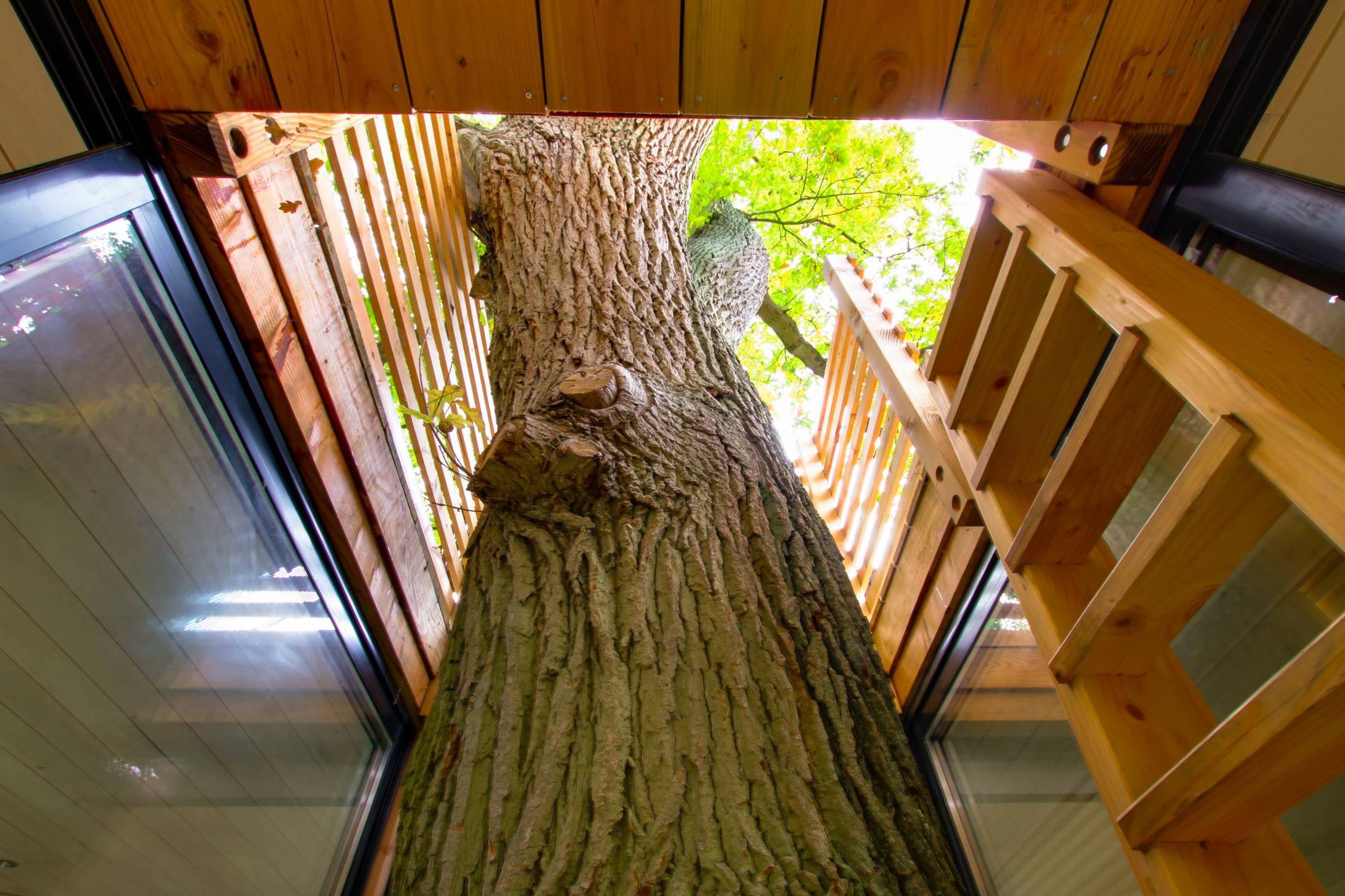 Cabane Spa Designer Origin : une évasion dans les arbres en Picardie à Raray — espace de vie