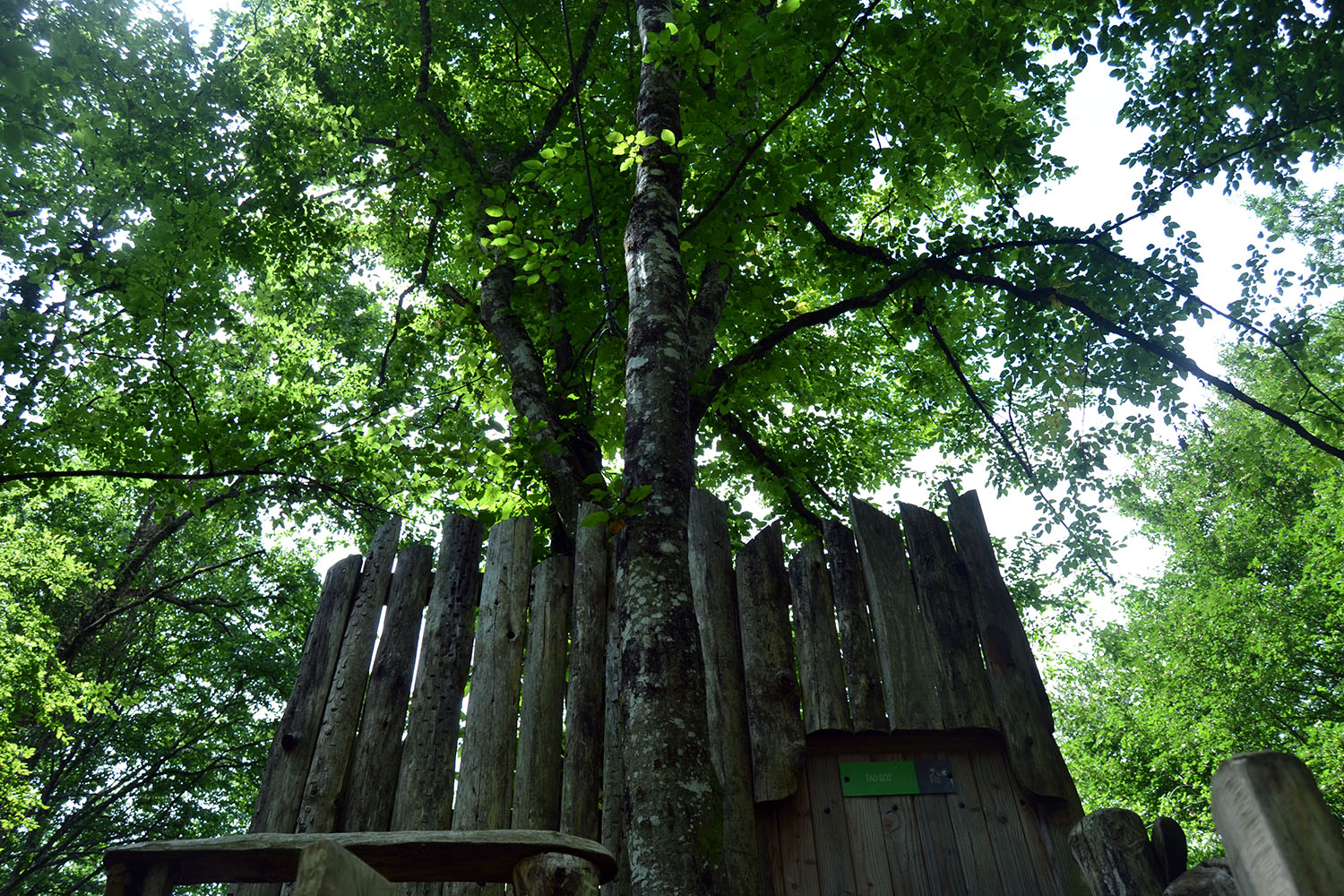 Cabane Tad Goz : une immersion dans les arbres de Franche-Comté à Ranchot — salle de bain