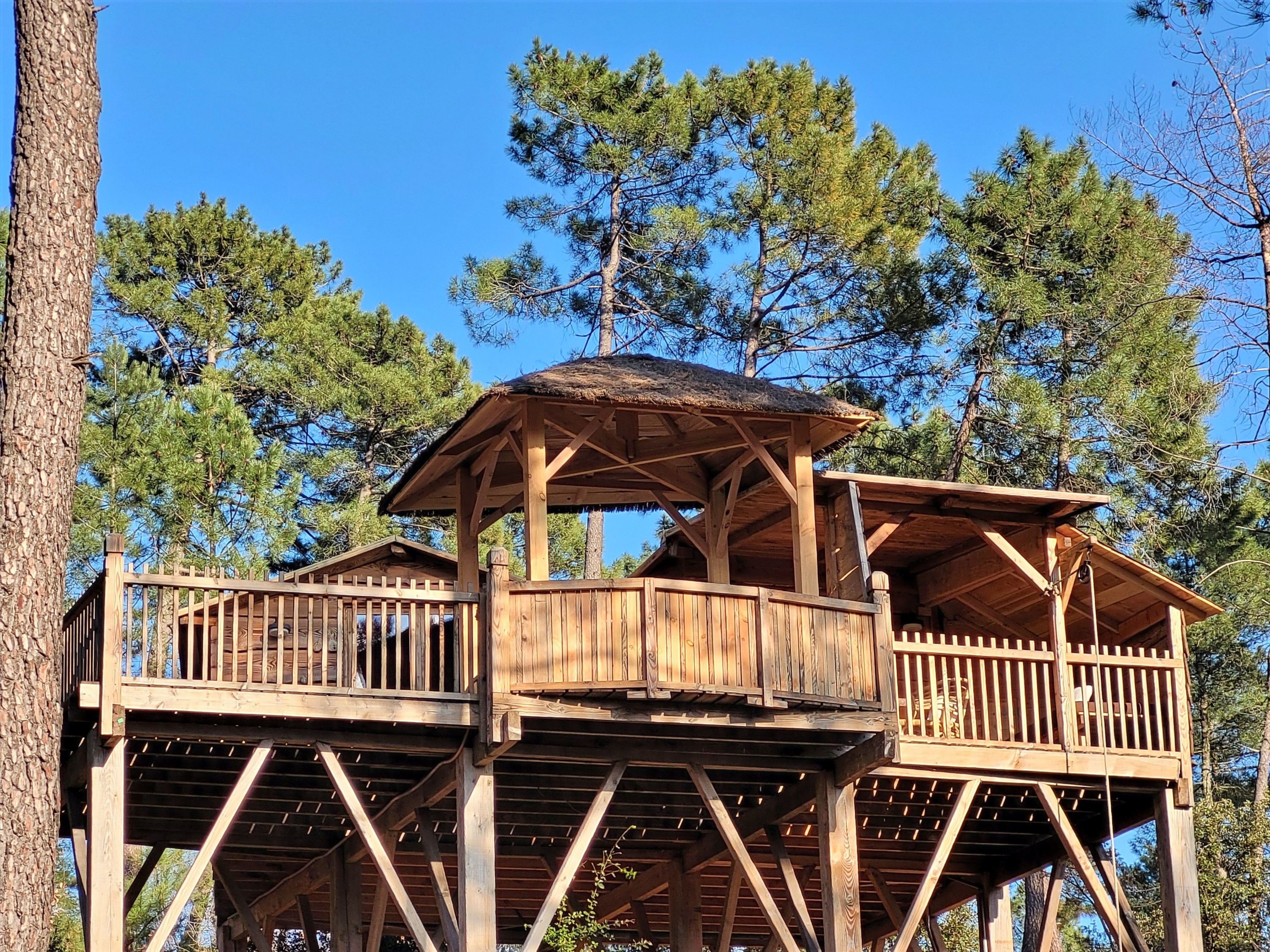 La cabane & spa Céleste — Nuit perchée à 7m en Ardèche à Le Teil — vue intérieure