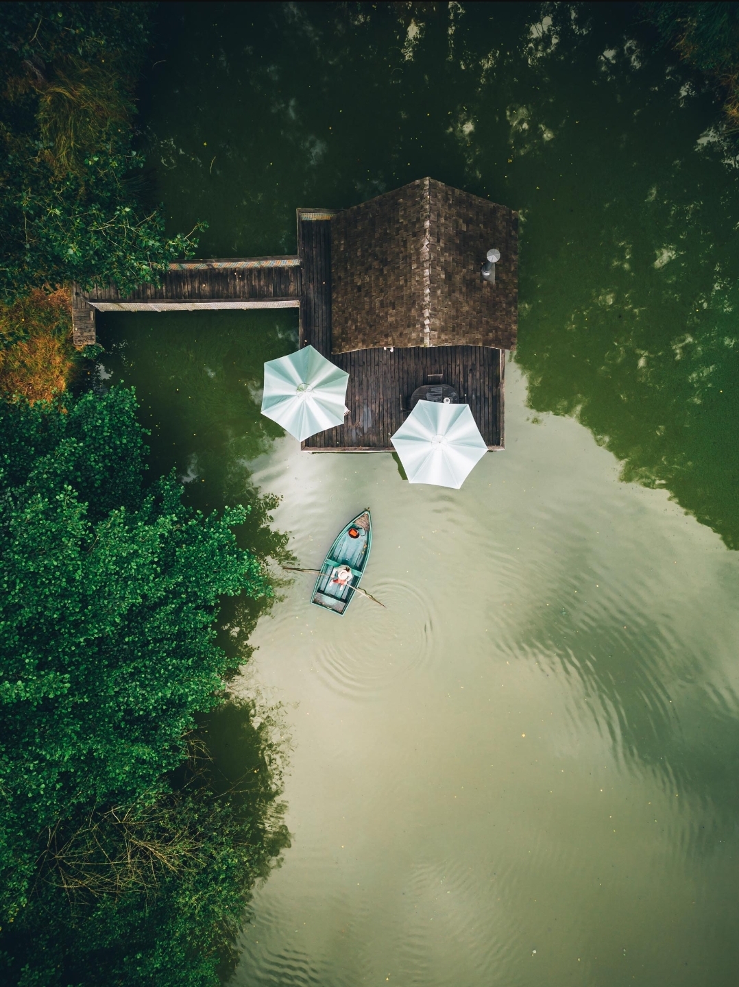 Cabane du Beau-Regard : une immersion au cœur de la nature en Bourgogne à Saint-Didier-Sur-Arroux — vue intérieure