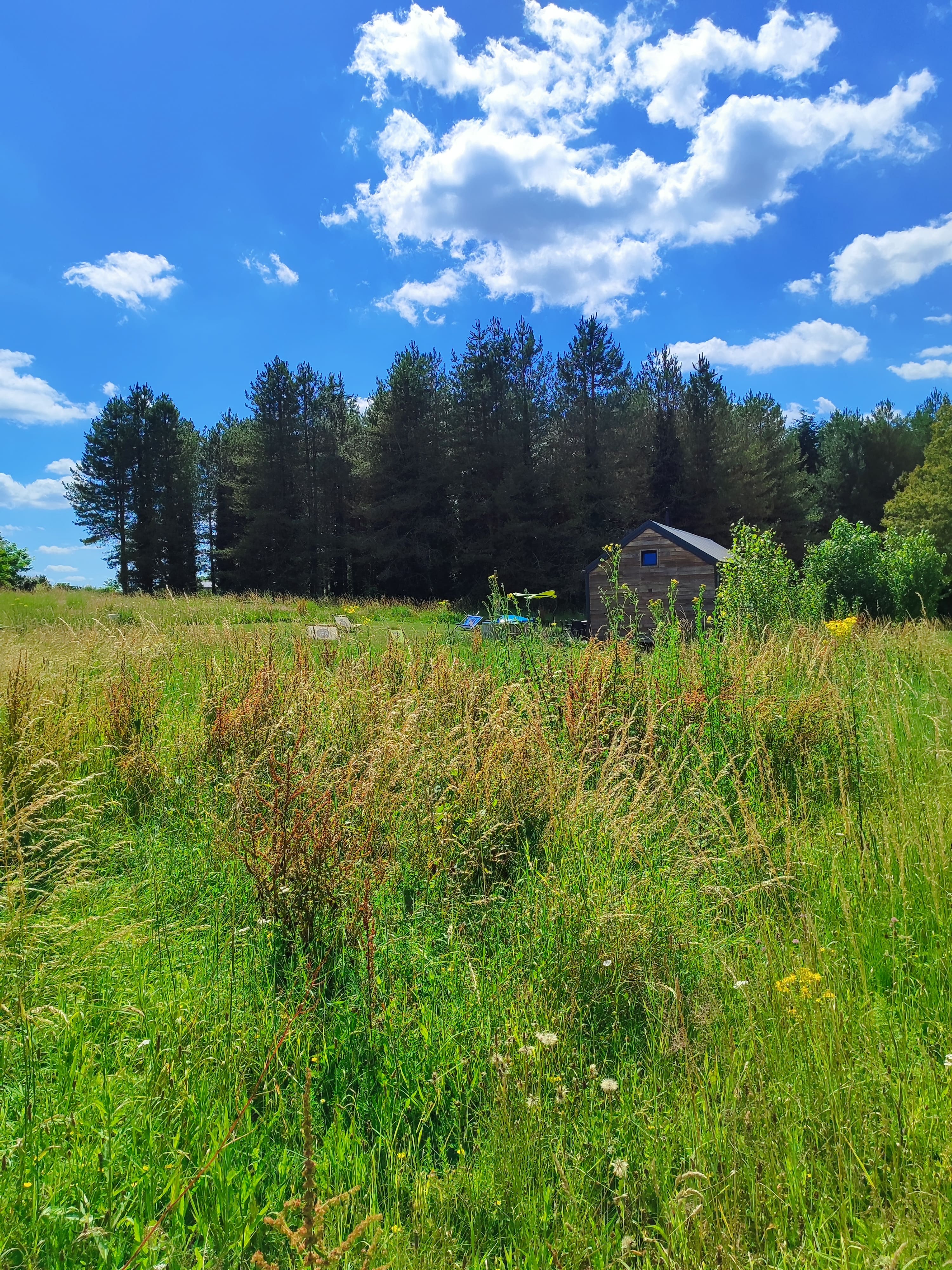 Cabane du Cerf — Écolodge avec spa à Loir-et-Cher à La Ferté-Imbault — vue intérieure