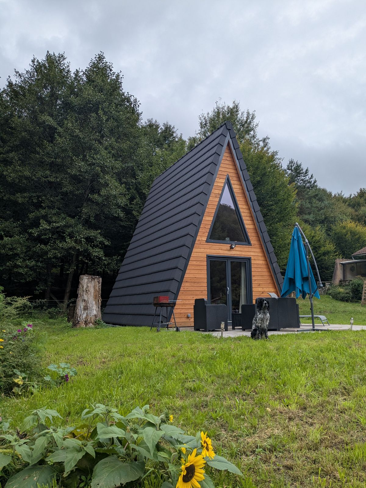 Le petit sabotier — Cabane avec vue sur la forêt en Moselle à Metz — salle de bain
