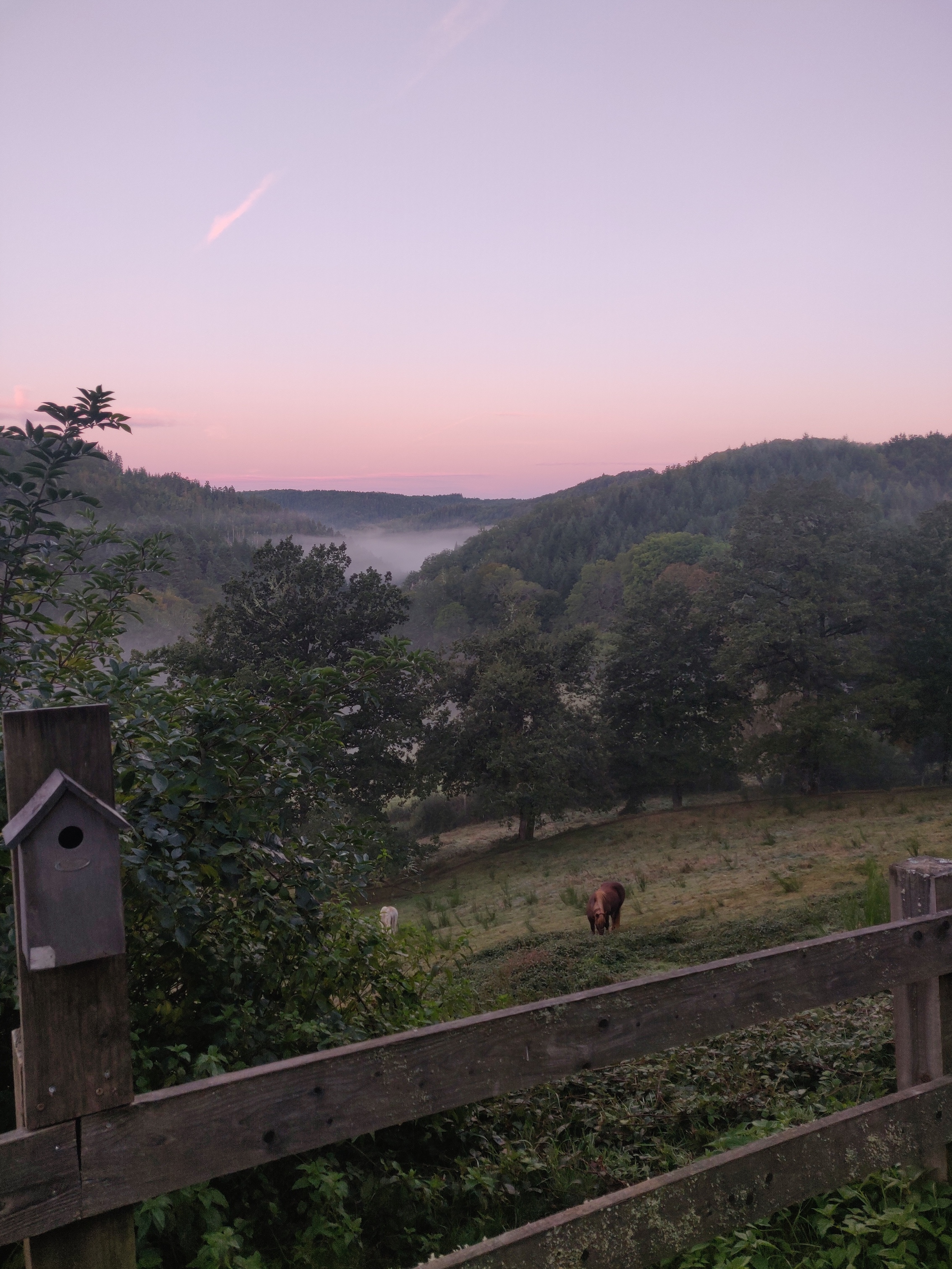 Cabane Tilleul — Cabane sur pilotis avec spa à Puy-de-Dôme à Clermont-Ferrand — cuisine