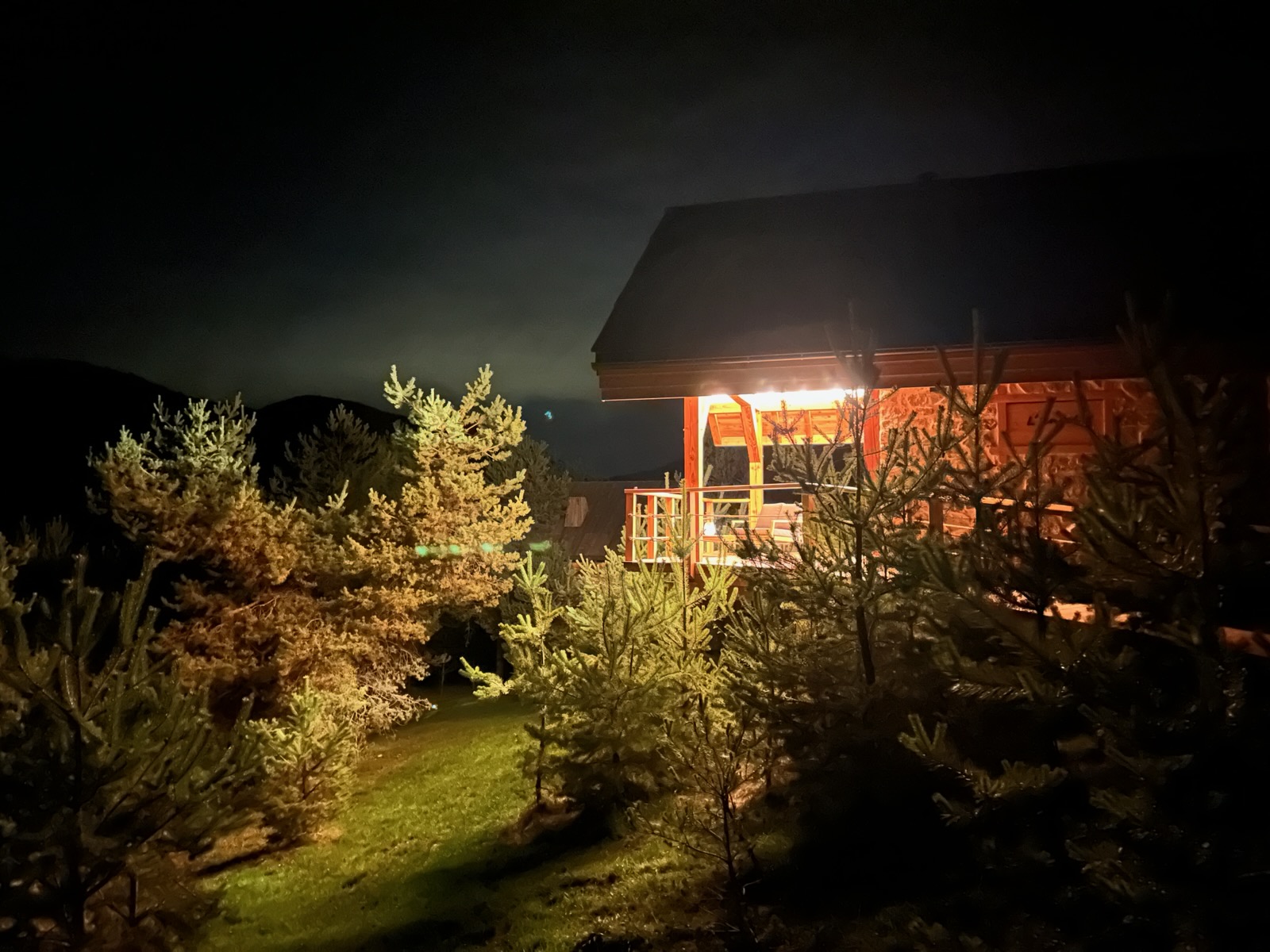 Chalet l'Envol - Spa privatif : une cabane sur pilotis en pleine nature à Chorges — détail architectural