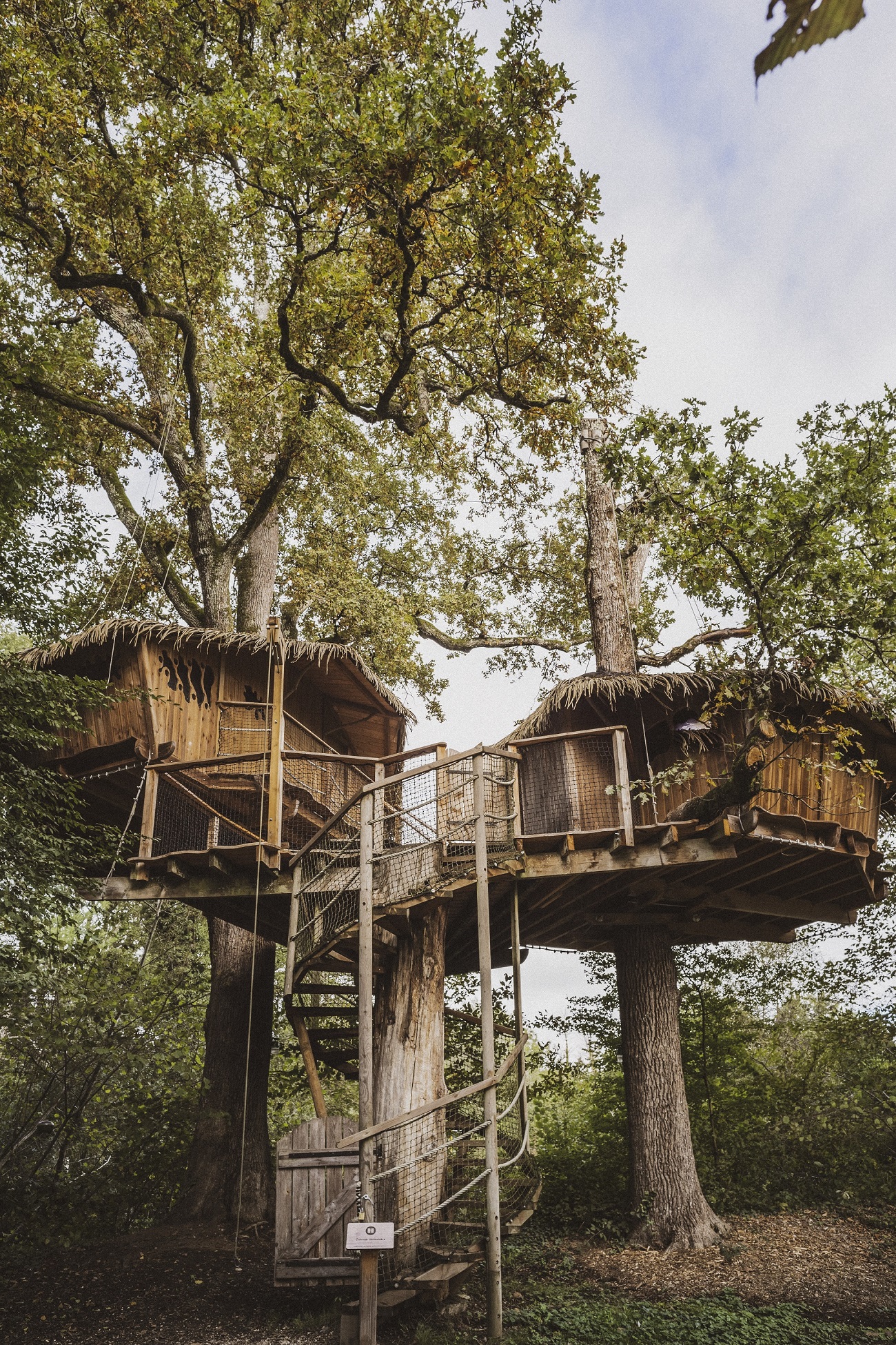 Cabane Héronnière : une immersion dans les arbres de Franche-Comté à Chassey-Lès-Montbozon — vue intérieure