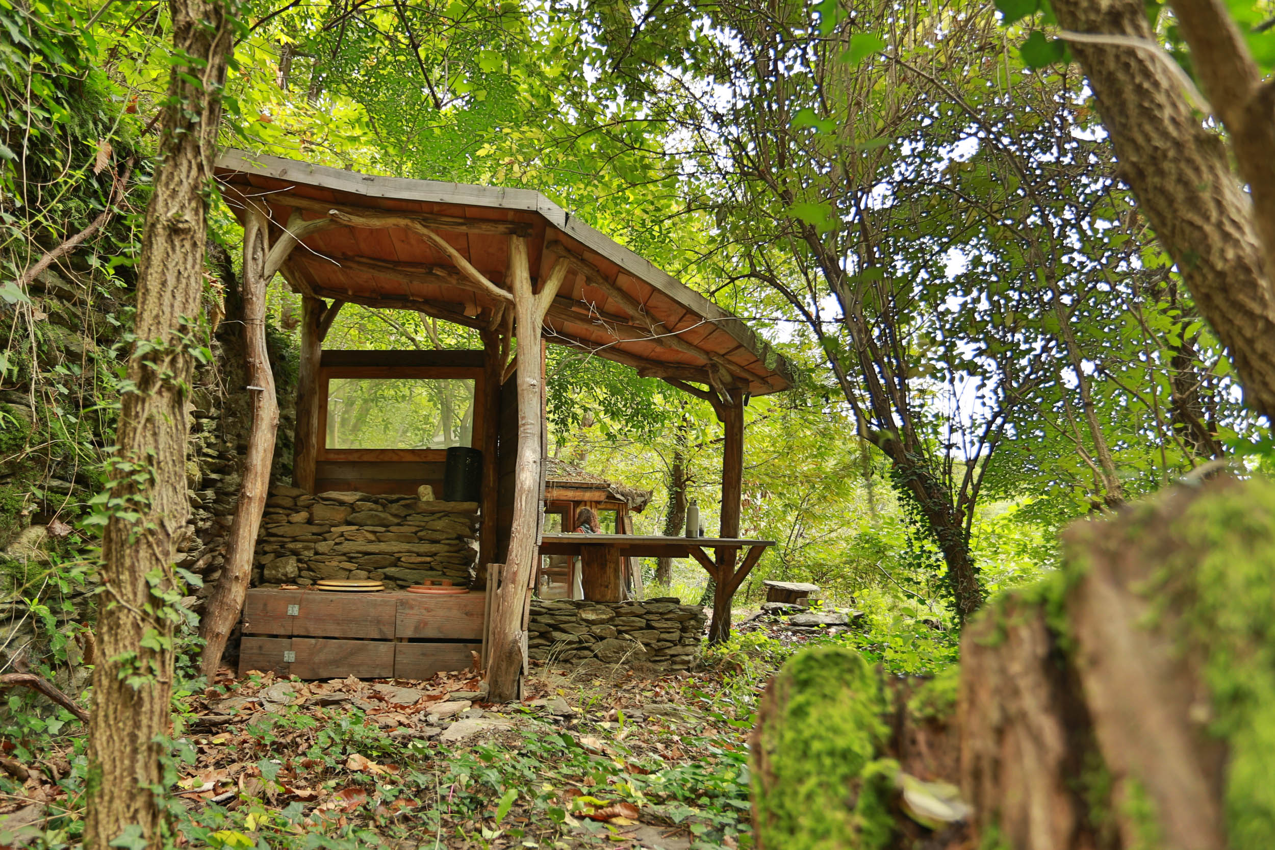 Petite cabane dans les bois — Séjour ressourçant avec spa à Gard à Saint-Jean-du-Gard — environnement naturel