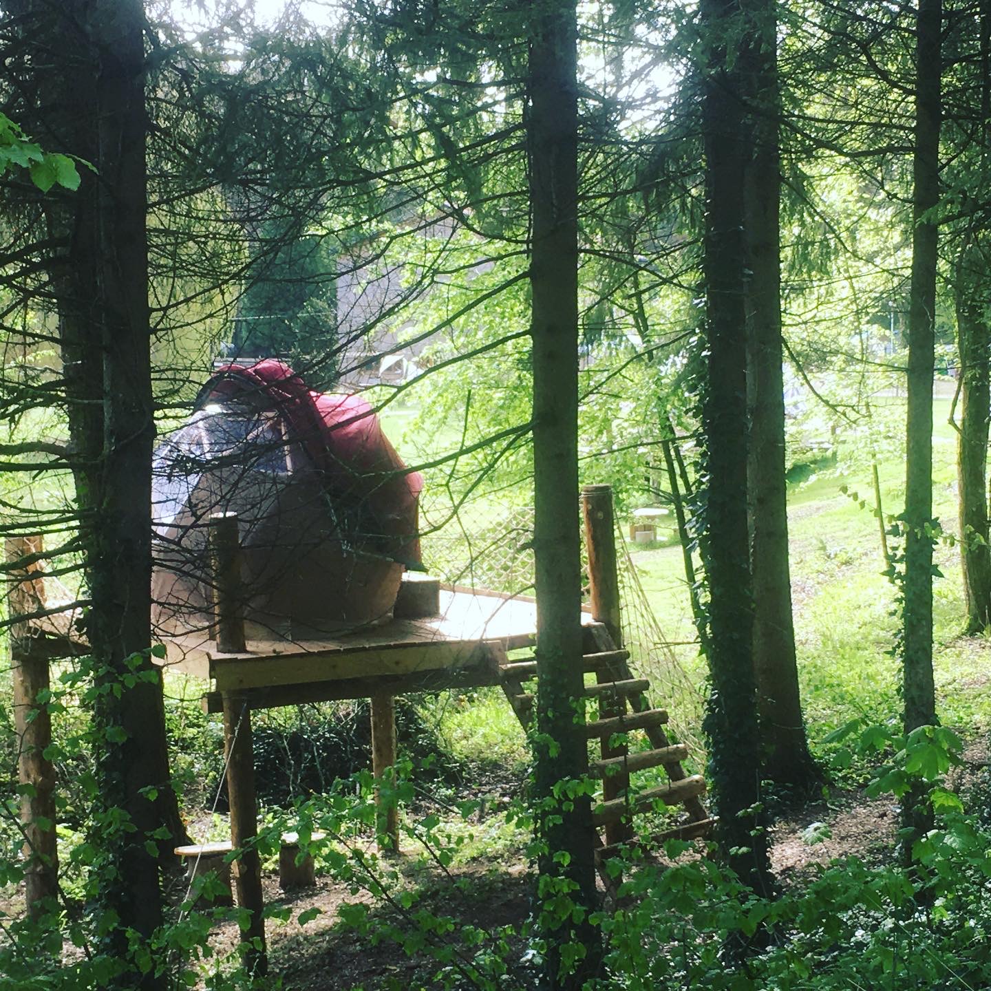 Petite Ourse — Dôme perché à 4m dans les arbres en Meuse à Saint-Remy-la-Calonne — chambre