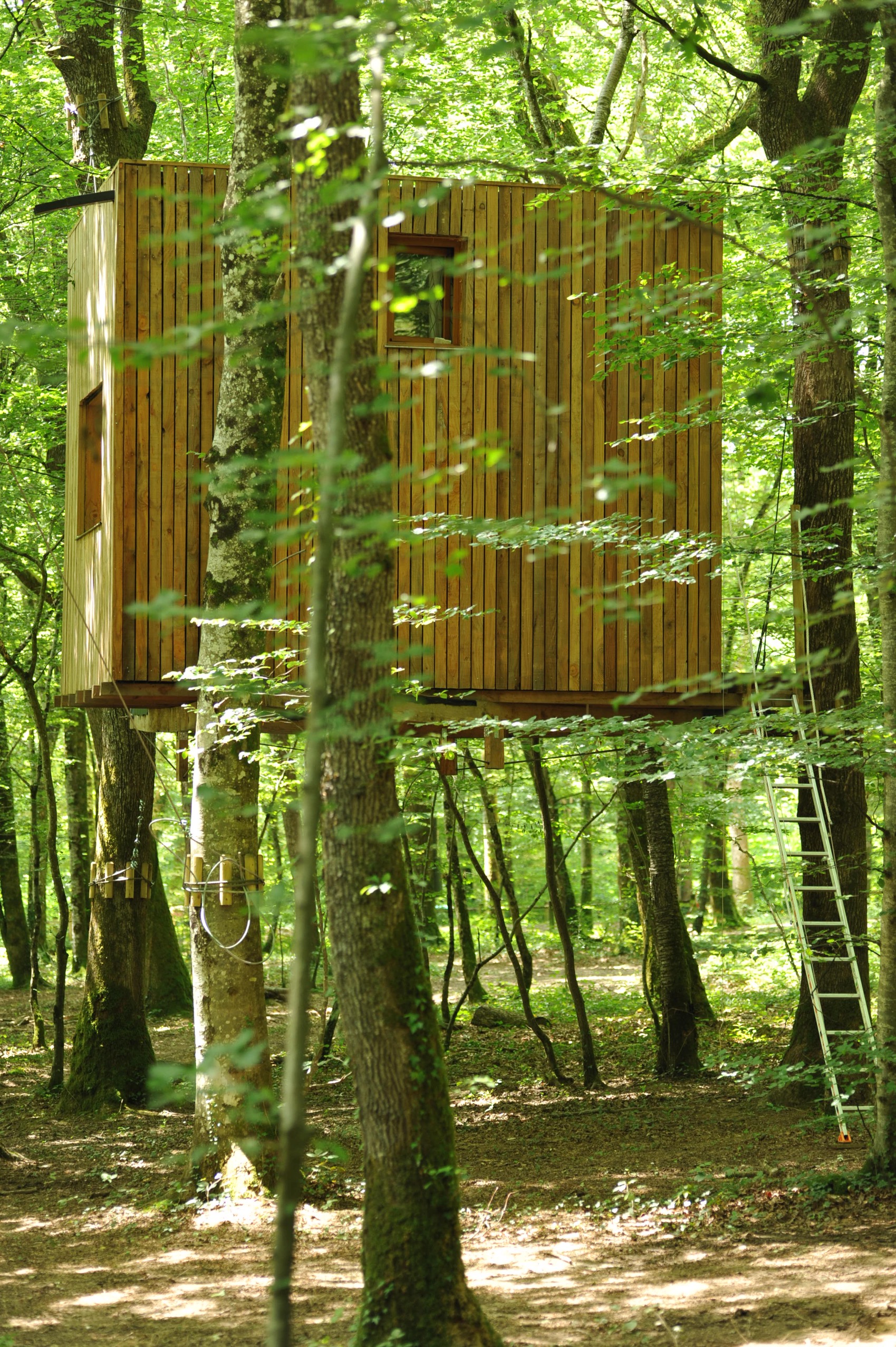Cabane Ecureuil : une expérience suspendue dans les arbres à Mont Sous Vaudrey — espace de vie