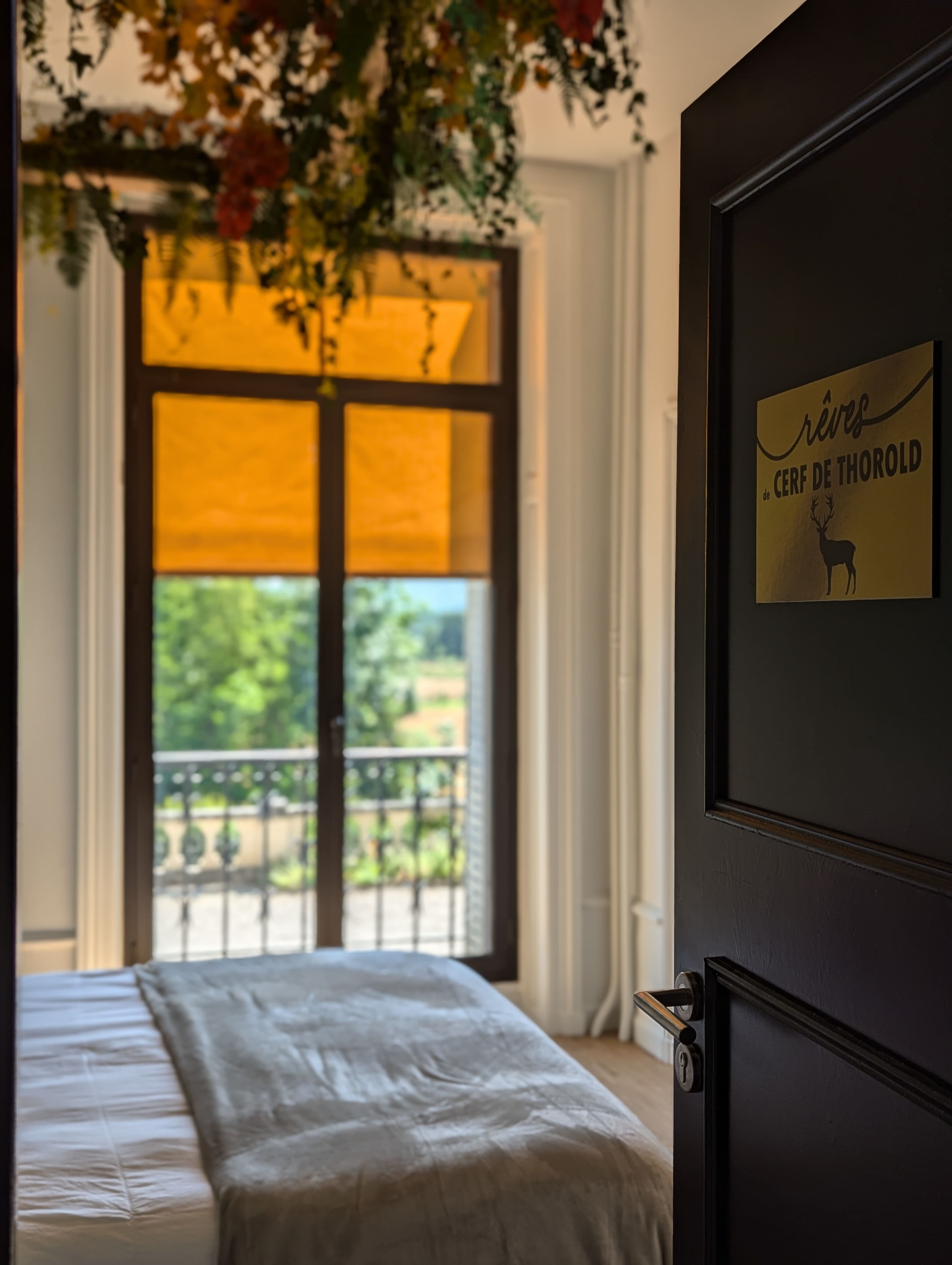 Chambre 'Rêve de Cerf de Thorold' — Chambre à thème avec spa à Puy-de-Dôme à Clermont-Ferrand — cuisine