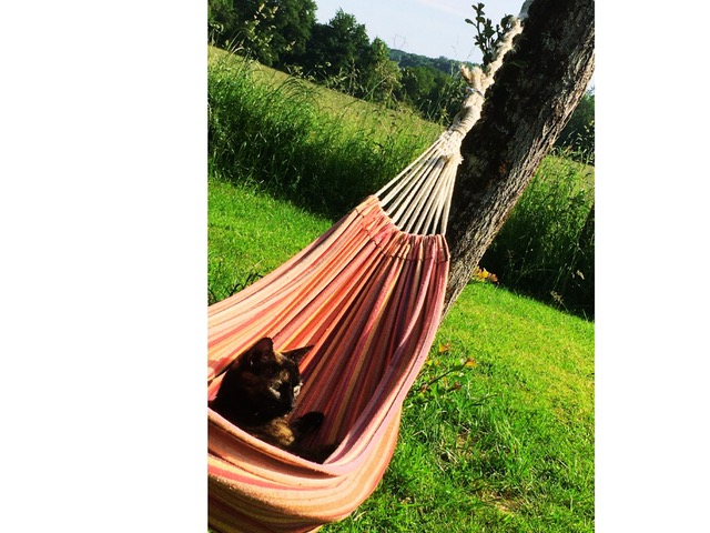 Tente Origan — Escapade nature avec petit déjeuner à Creuse à La Nouaille — environnement naturel