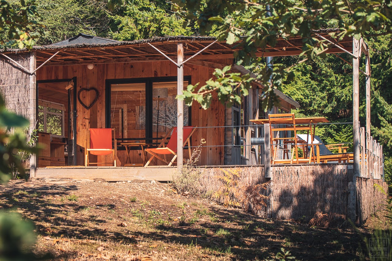 Évasion sensorielle dans une cabane Forest Cocoon & Spa à ballon — espace de vie