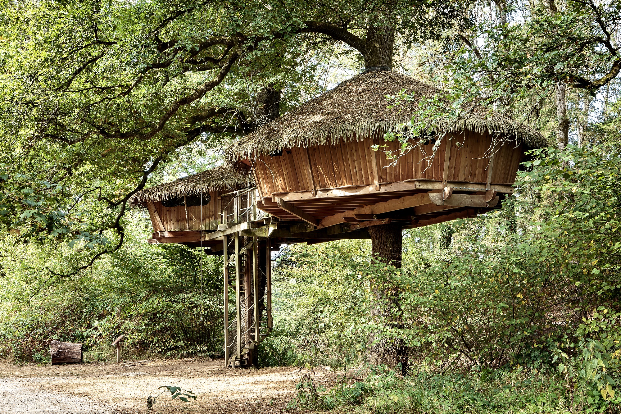 Cabane Voilure : une expérience suspendue dans les arbres à Chassey-Lès-Montbozon — vue intérieure