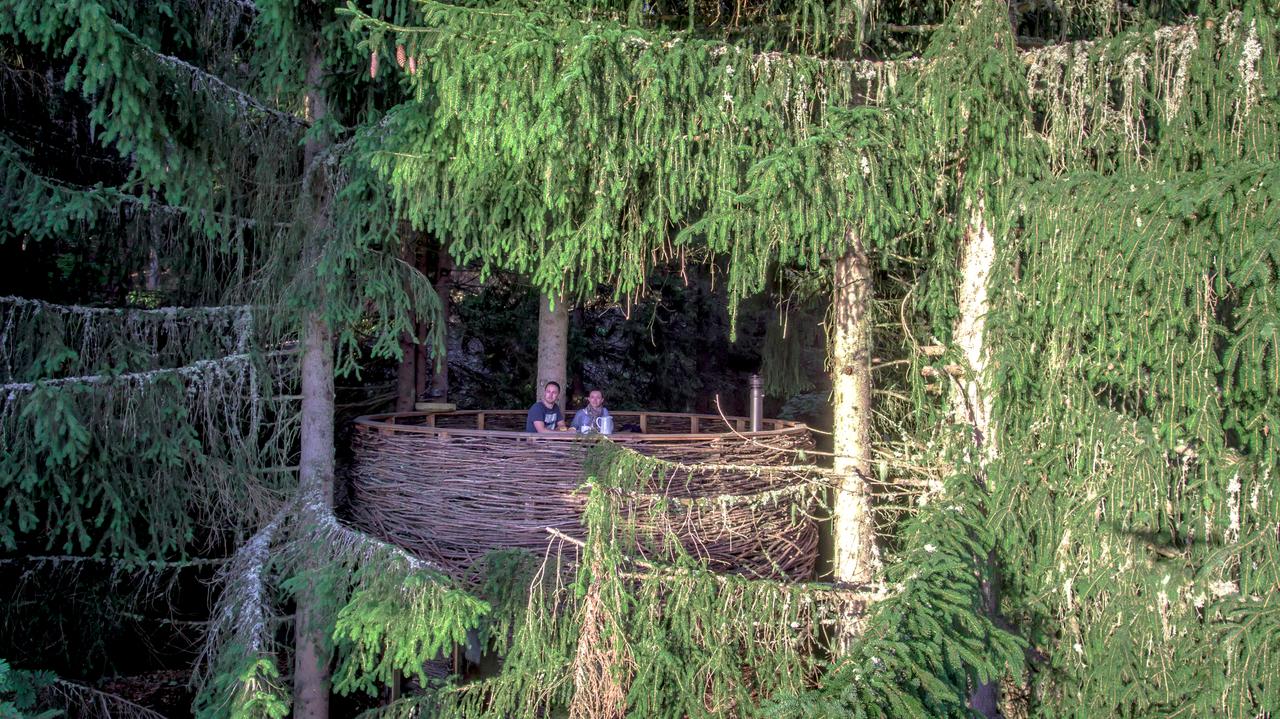 Cabane Nid : une échappée belle dans les arbres à Saint Nicolas La Chapelle — vue intérieure