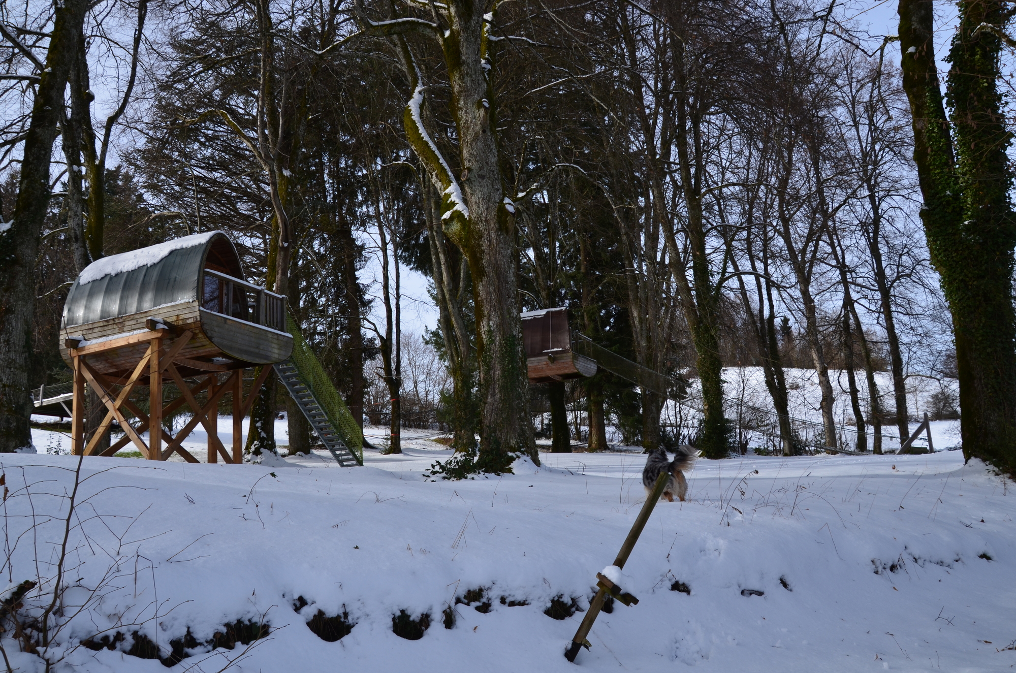 Cabane accès Escalier & Spa privatisable — Cabane dans les arbres à Isère à Voreppe — chambre