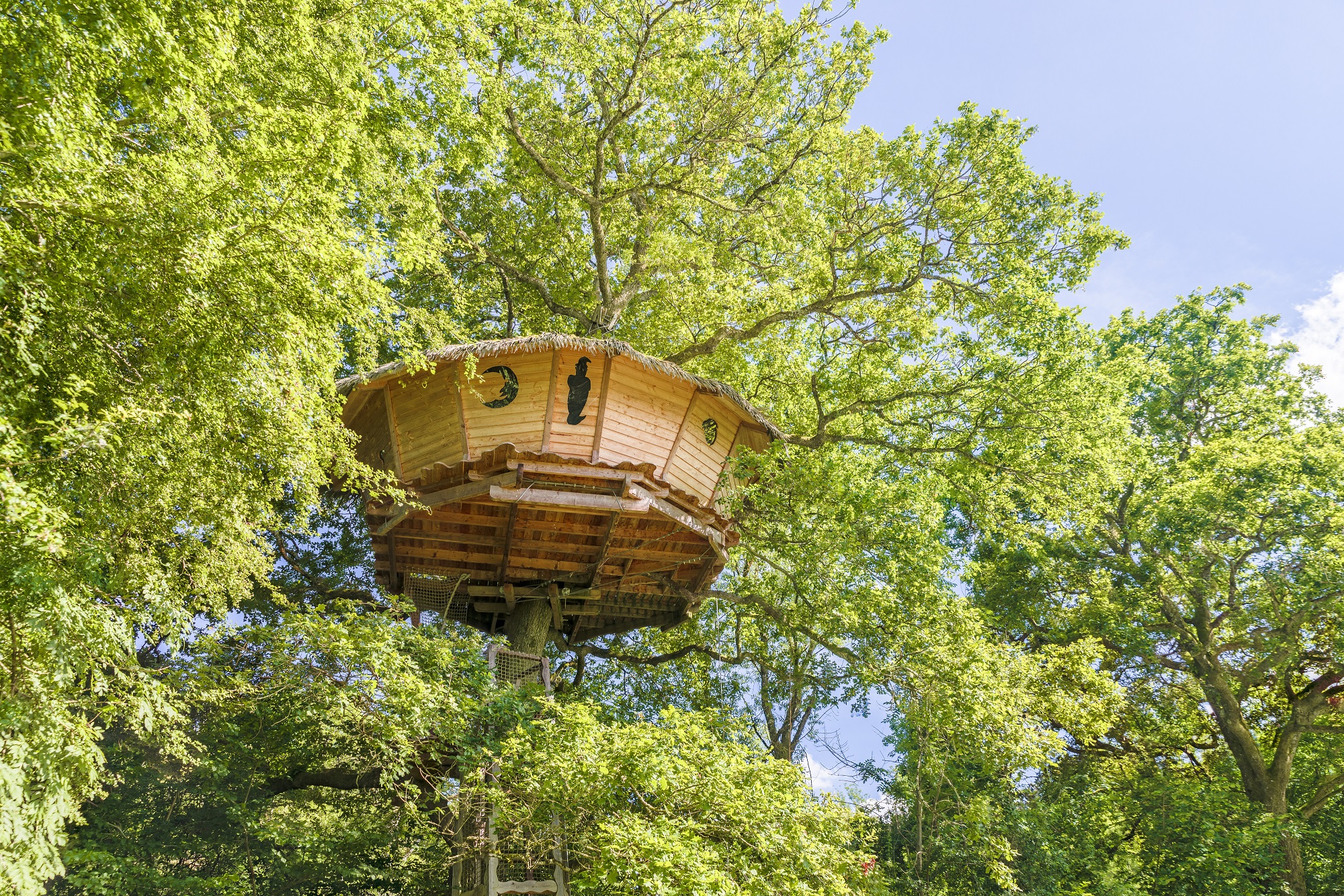 Cabane Extase : une immersion dans les arbres de Franche-Comté — Cabane à Chassey-Lès-Montbozon