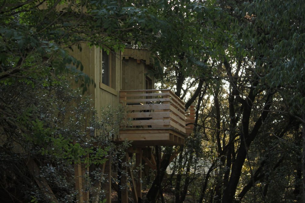 Cabane Fresnes : une expérience suspendue dans les arbres à Villalier — détail architectural