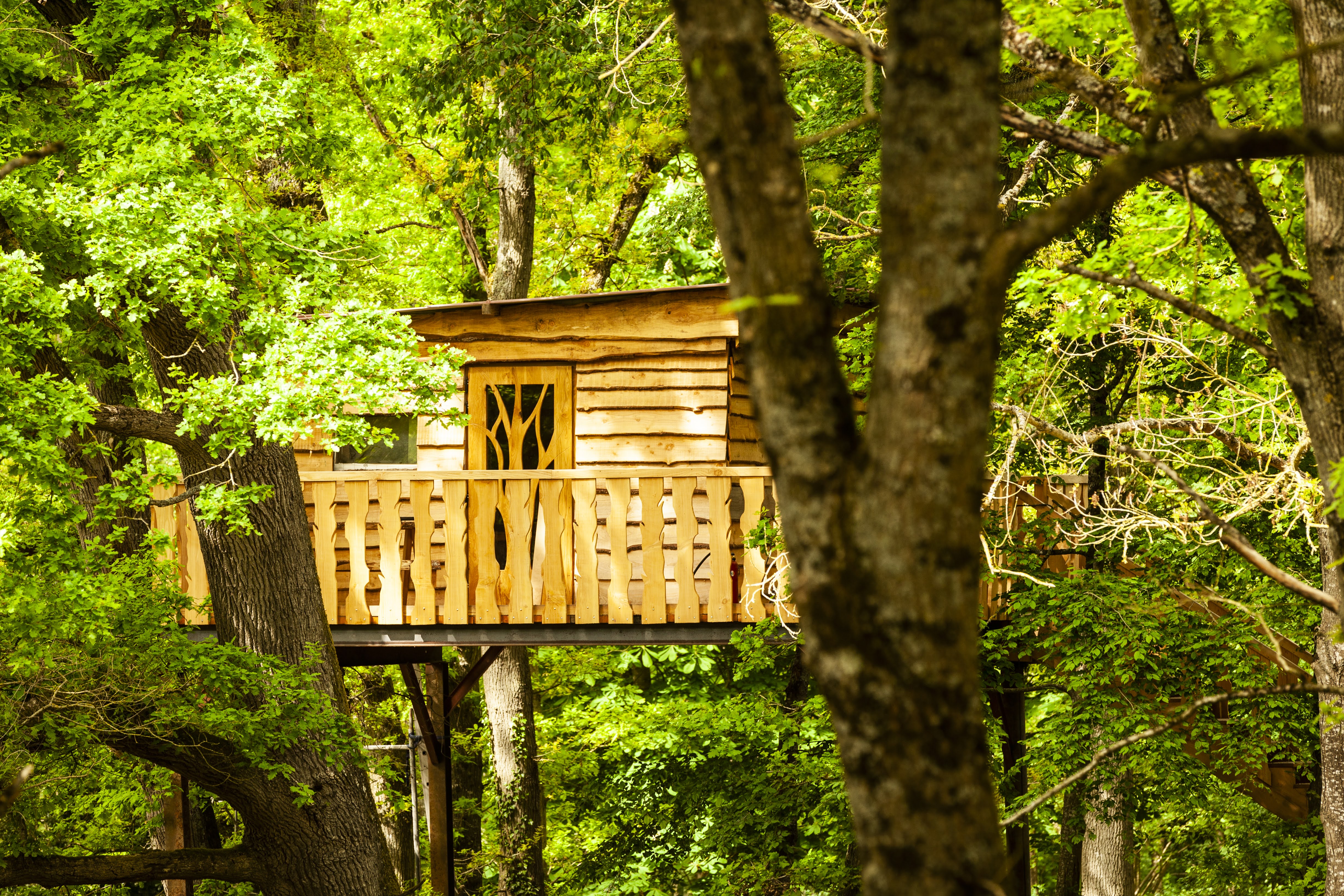 Cabane perchée chez Yahmz : une expérience unique dans les arbres