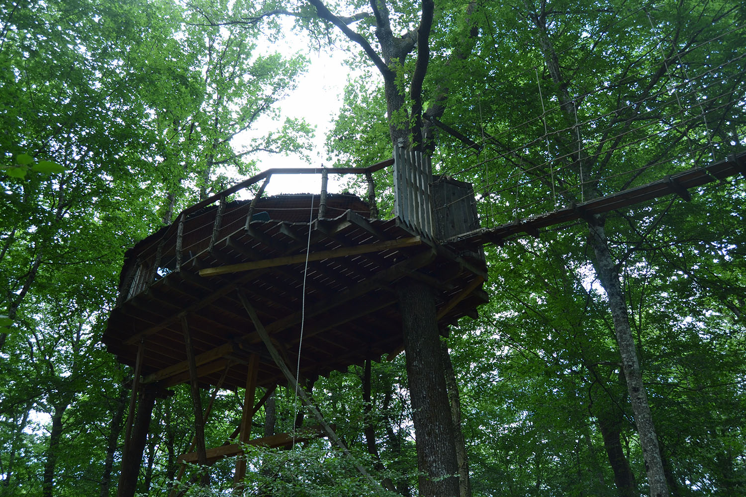 Cabane Tad Goz : une immersion dans les arbres de Franche-Comté à Ranchot — espace de vie